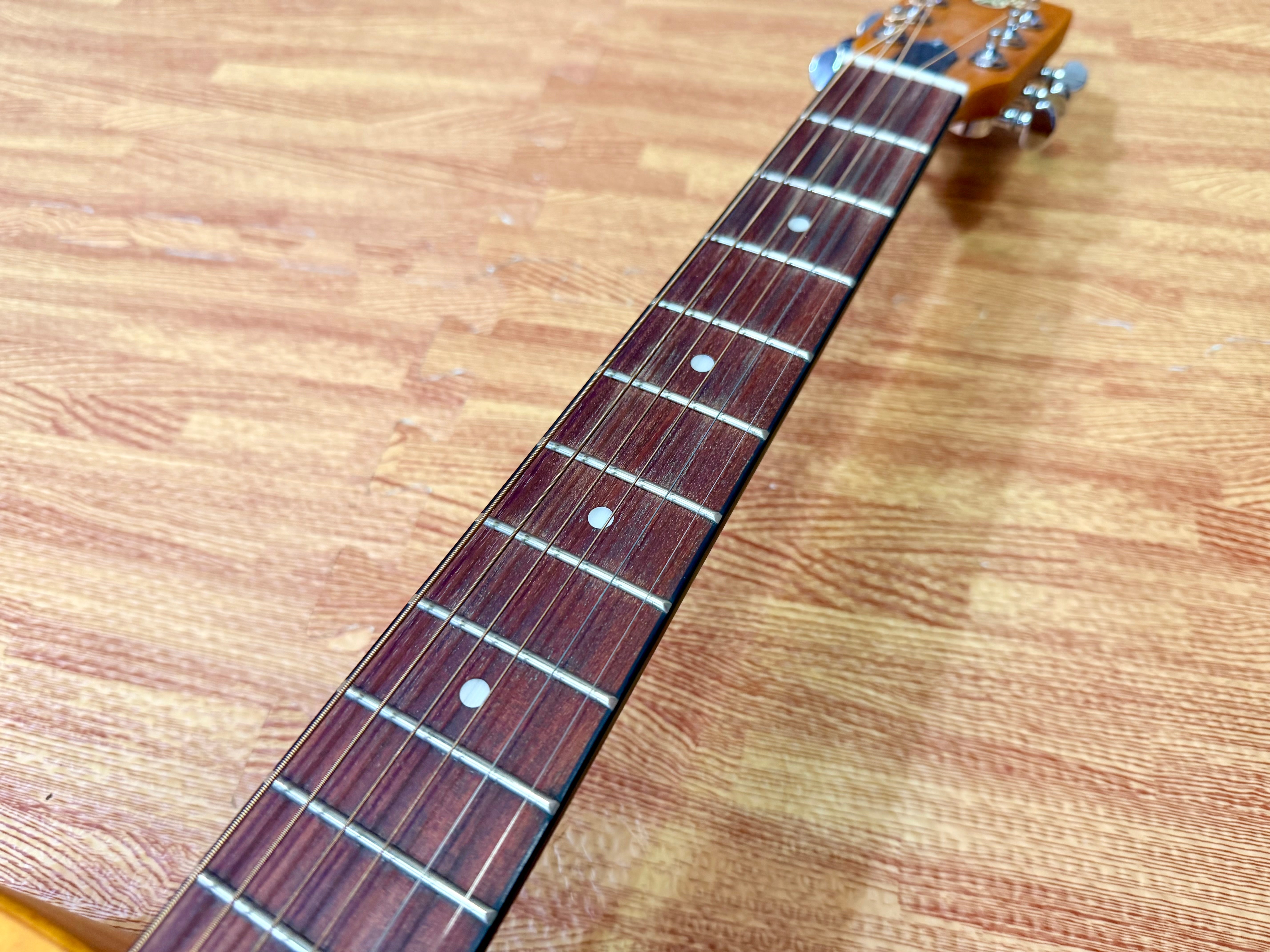 🌟MINT 🌟 2024 Epiphone Dobro Hound Dog Round Neck Resonator Acoustic Guitar!