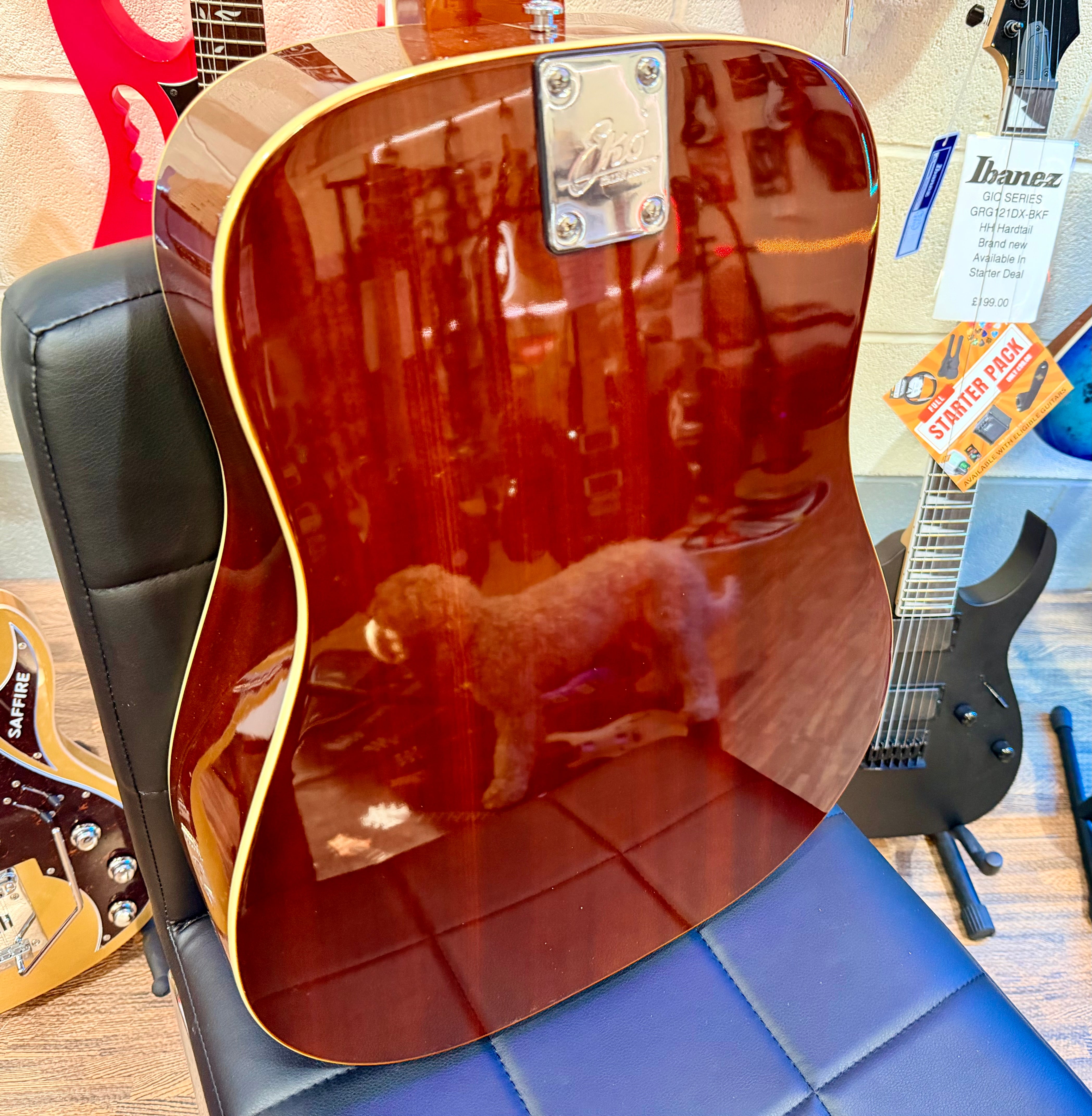 ๐NEW๐ EKO Ranger 5~ 12 String Acoustic Guitar~ XII VR~ Natural Gloss Finish!