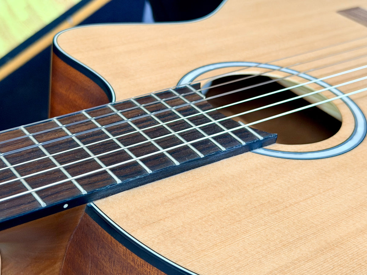 ✨EX-DEMO✨ Santos Martinez SM440TS Thin Body Electro Classical Nylon Guitar!