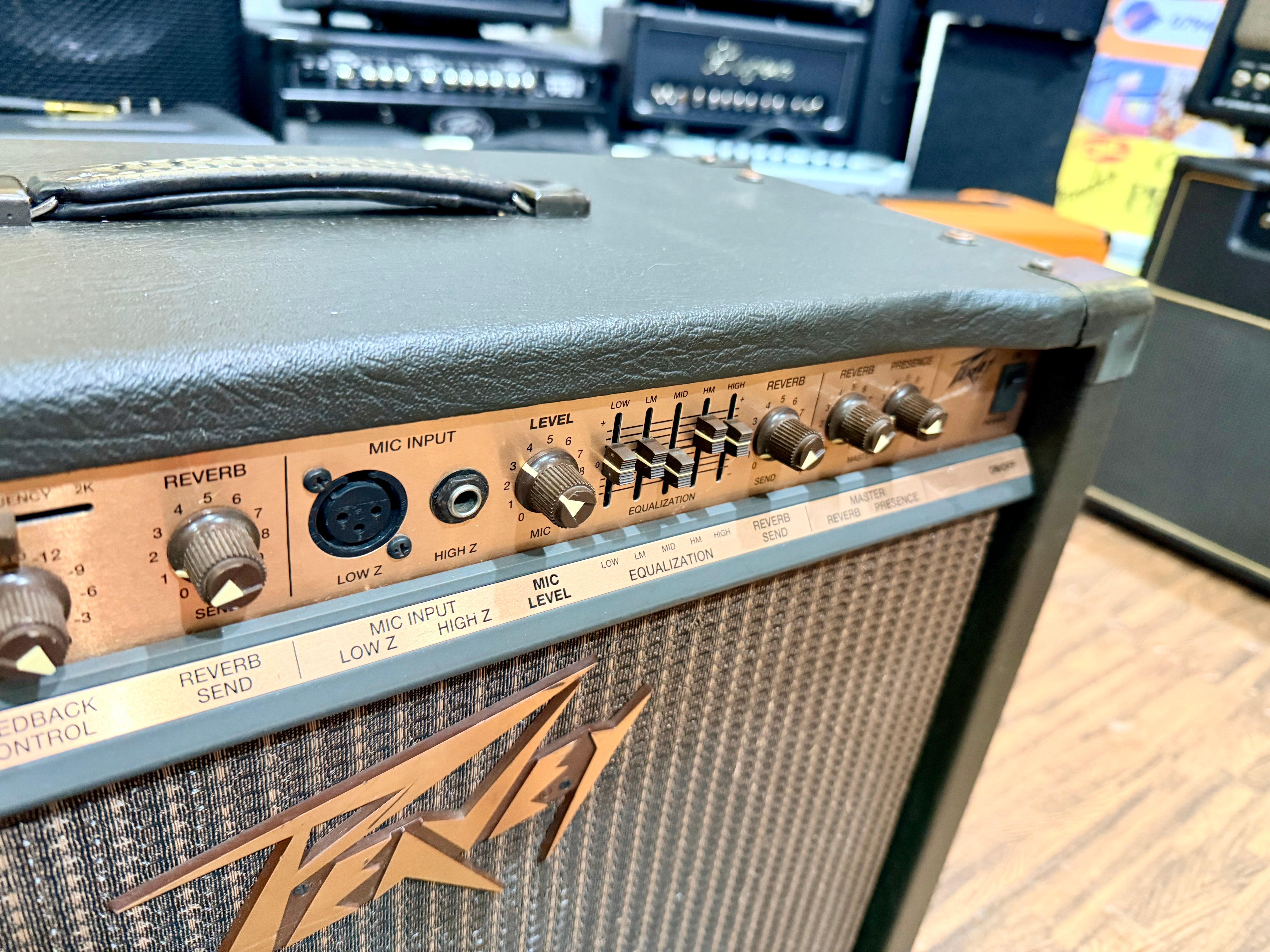 🎸 Peavey Ecoustic 112 Acoustic Guitar Amplifier~ 100w Combo Amp 🎸