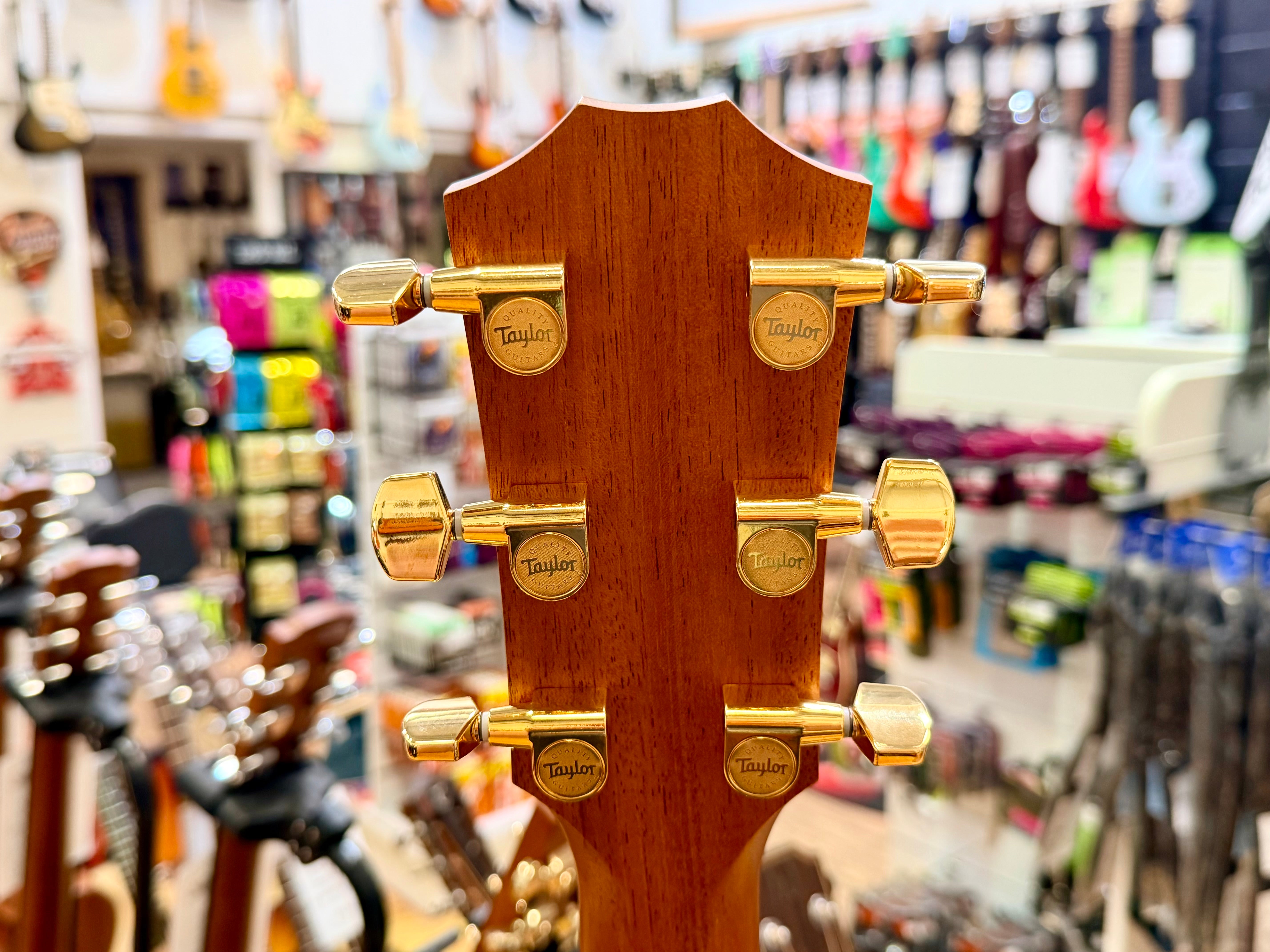✨2025✨ Taylor 224ce-K DLX Electro Acoustic Guitar~ Koa Deluxe Grand Auditorium!