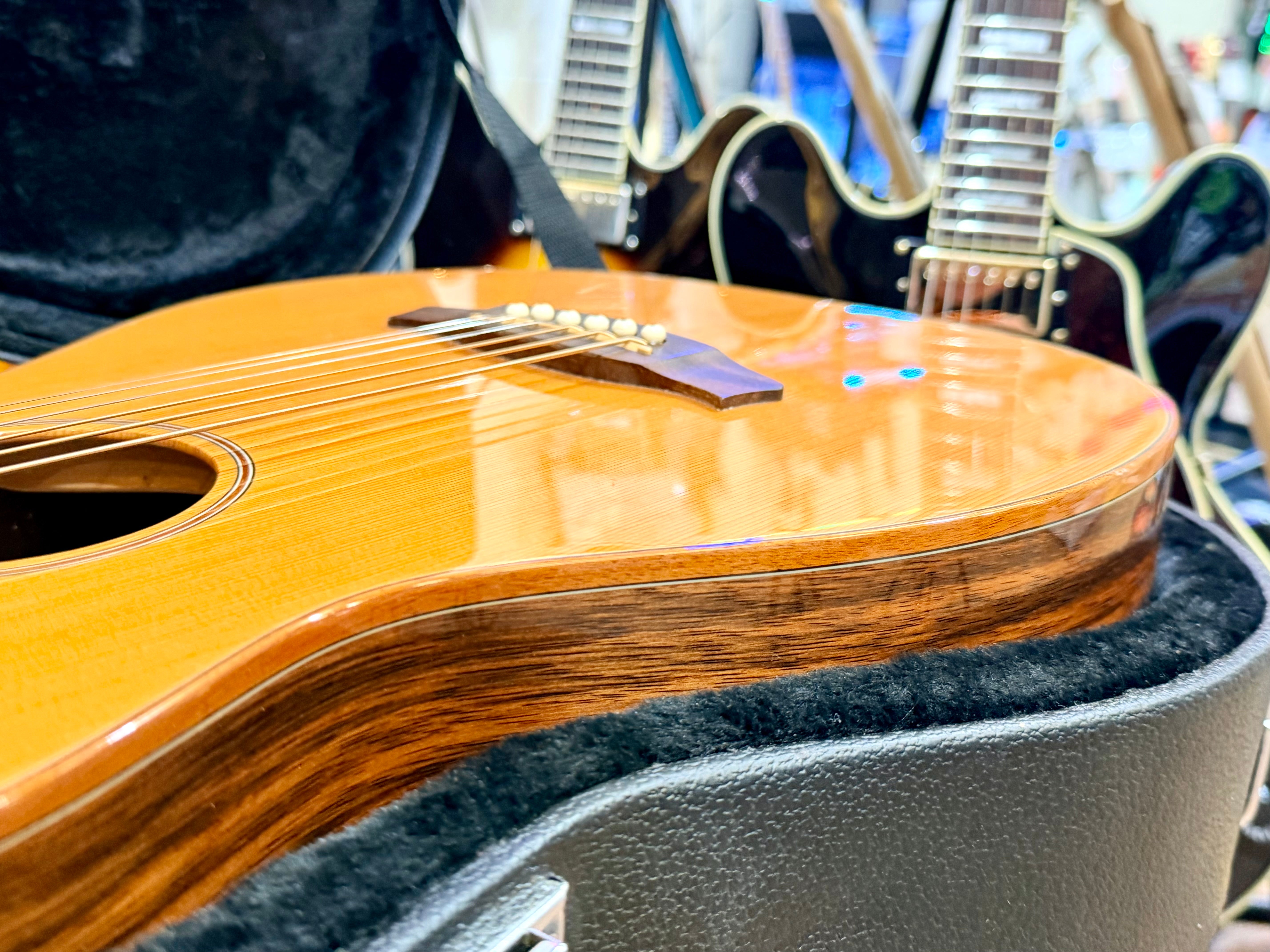 π Tanglewood Exotic Java TWJPE Parlour Electro Acoustic + Hard Case~Stunning π