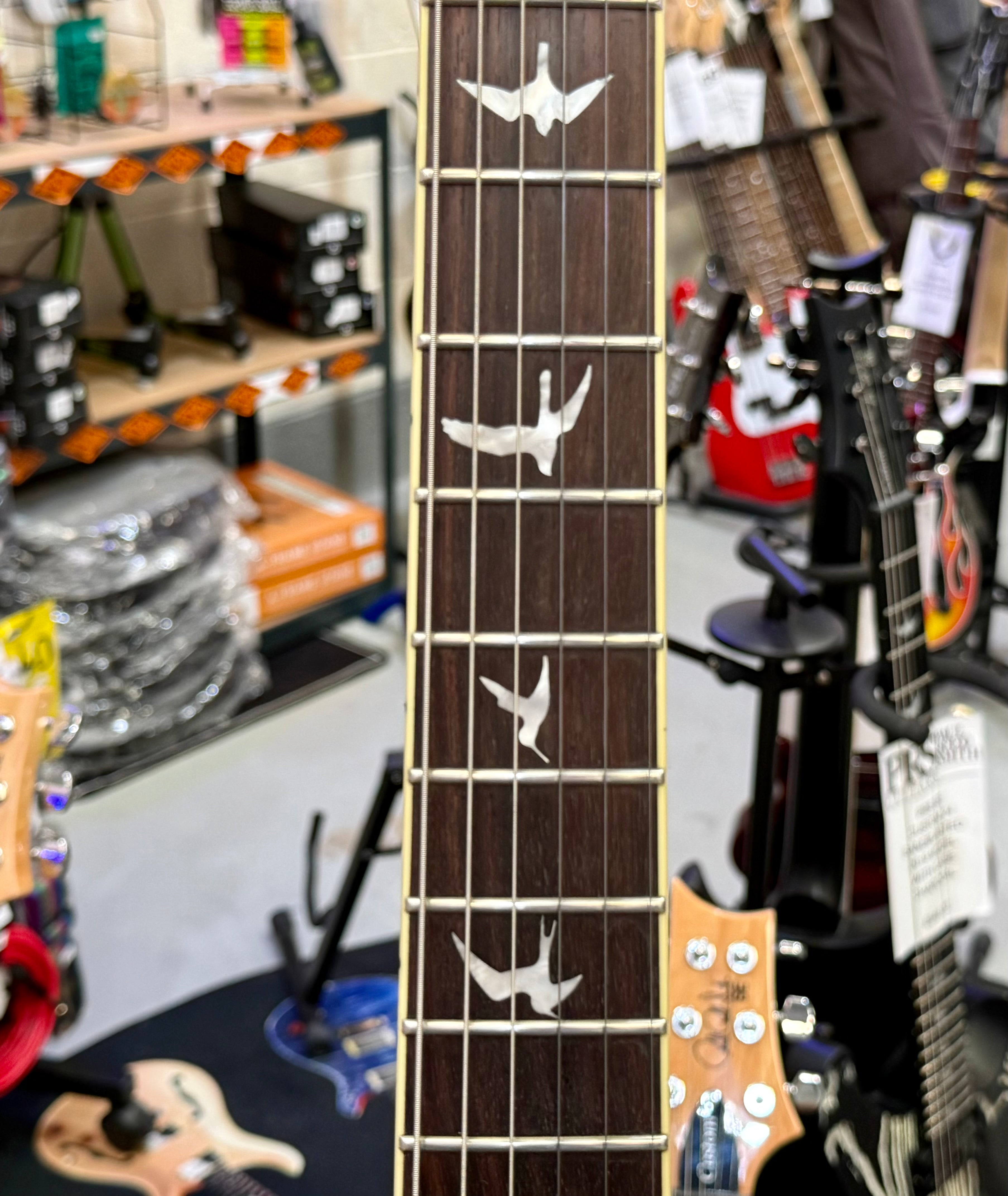 🔥2021🔥 PRS SE Standard 24~ Vintage Cherry Gloss ~ Coil Tap ~ Bird Inlays!