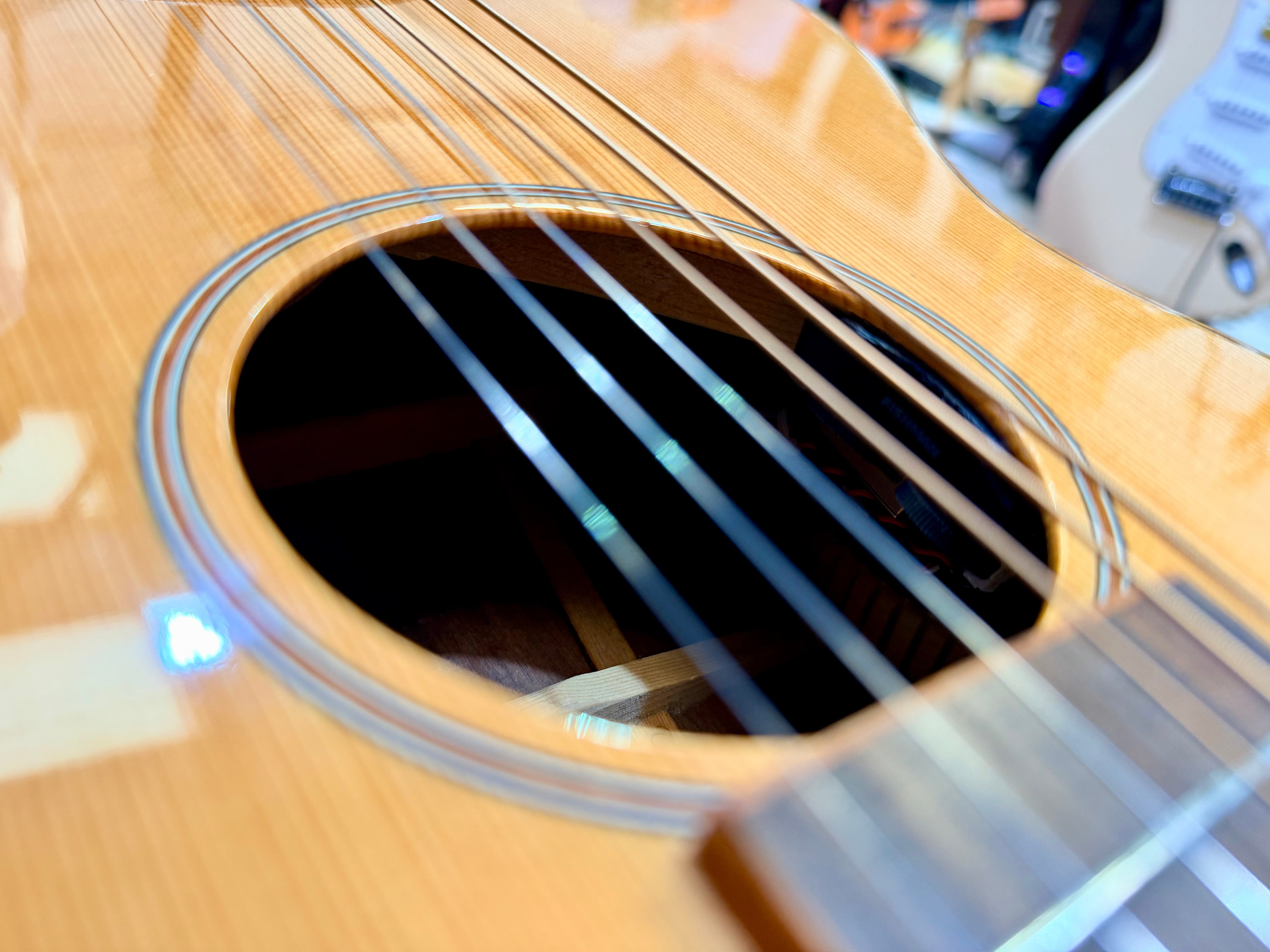 π Tanglewood Exotic Java TWJPE Parlour Electro Acoustic + Hard Case~Stunning π