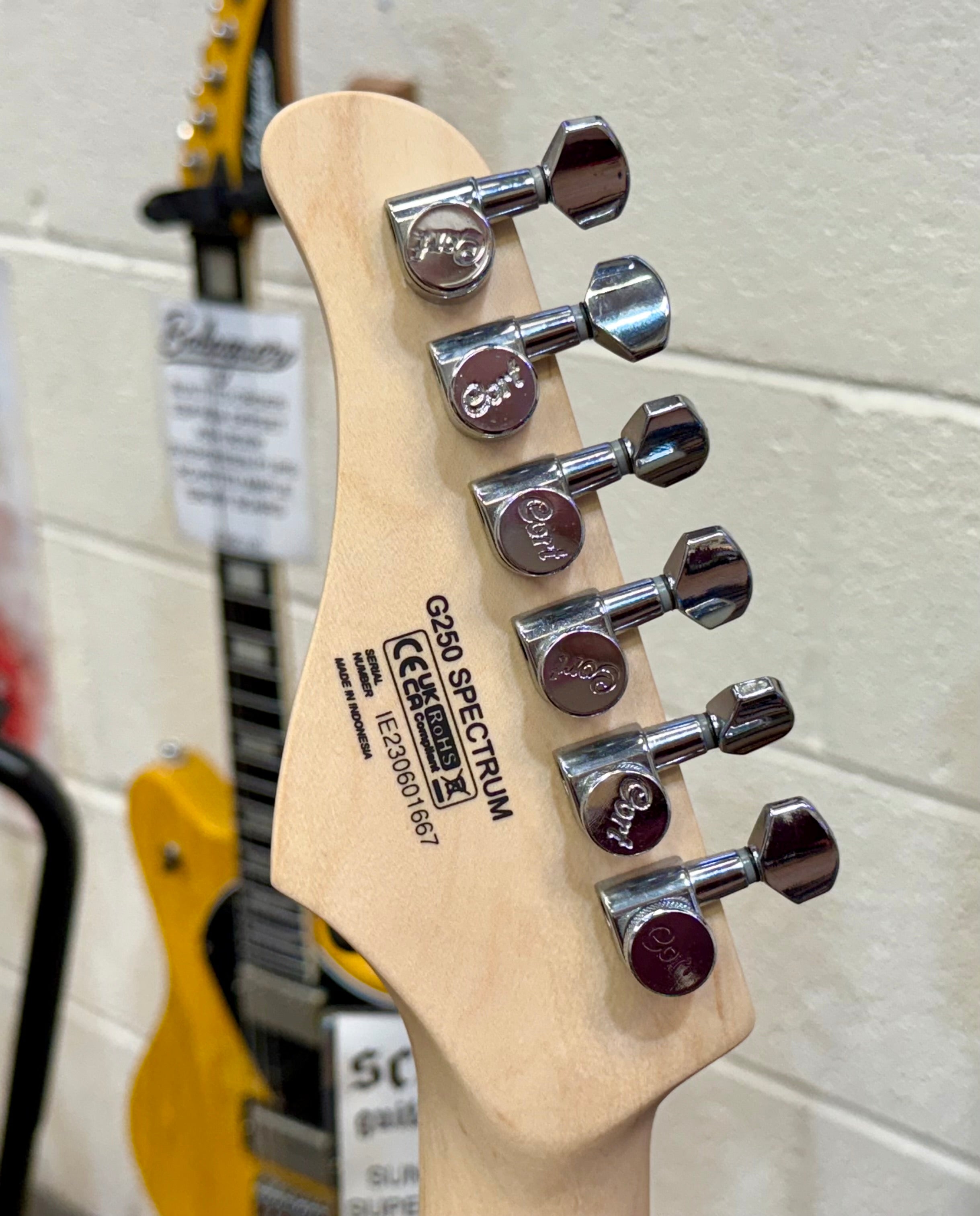 🌟BRAND NEW🌟 Cort G250 Spectrum~ Metallic Green~ Coil Tap~ Latest Model!