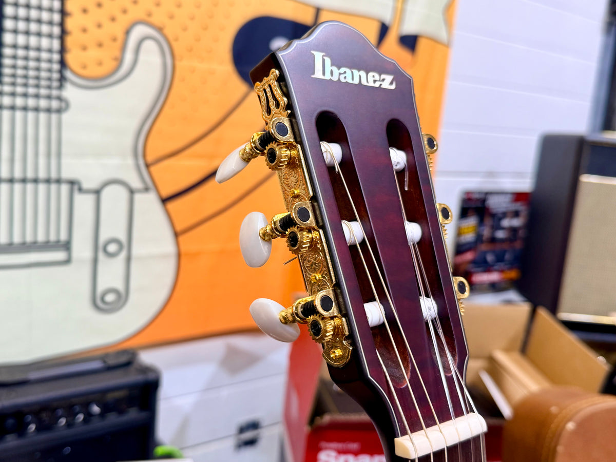 🔥2025🔥 Ibanez FRH20QMN Wine Red Low Gloss Nylon Electro Acoustic Guitar!