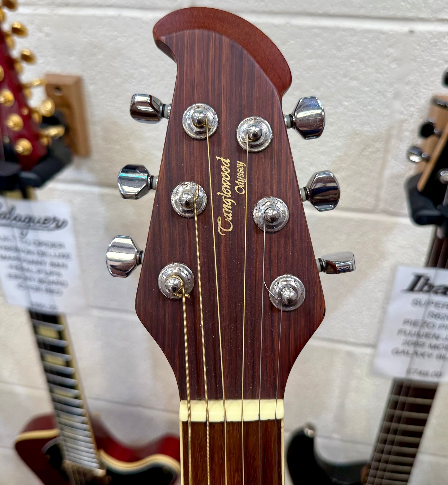 🎸ROUNDBACK🎸 Tanglewood Odyssey TMO-7 Bowl Back Electro-Acoustic Guitar~Natural