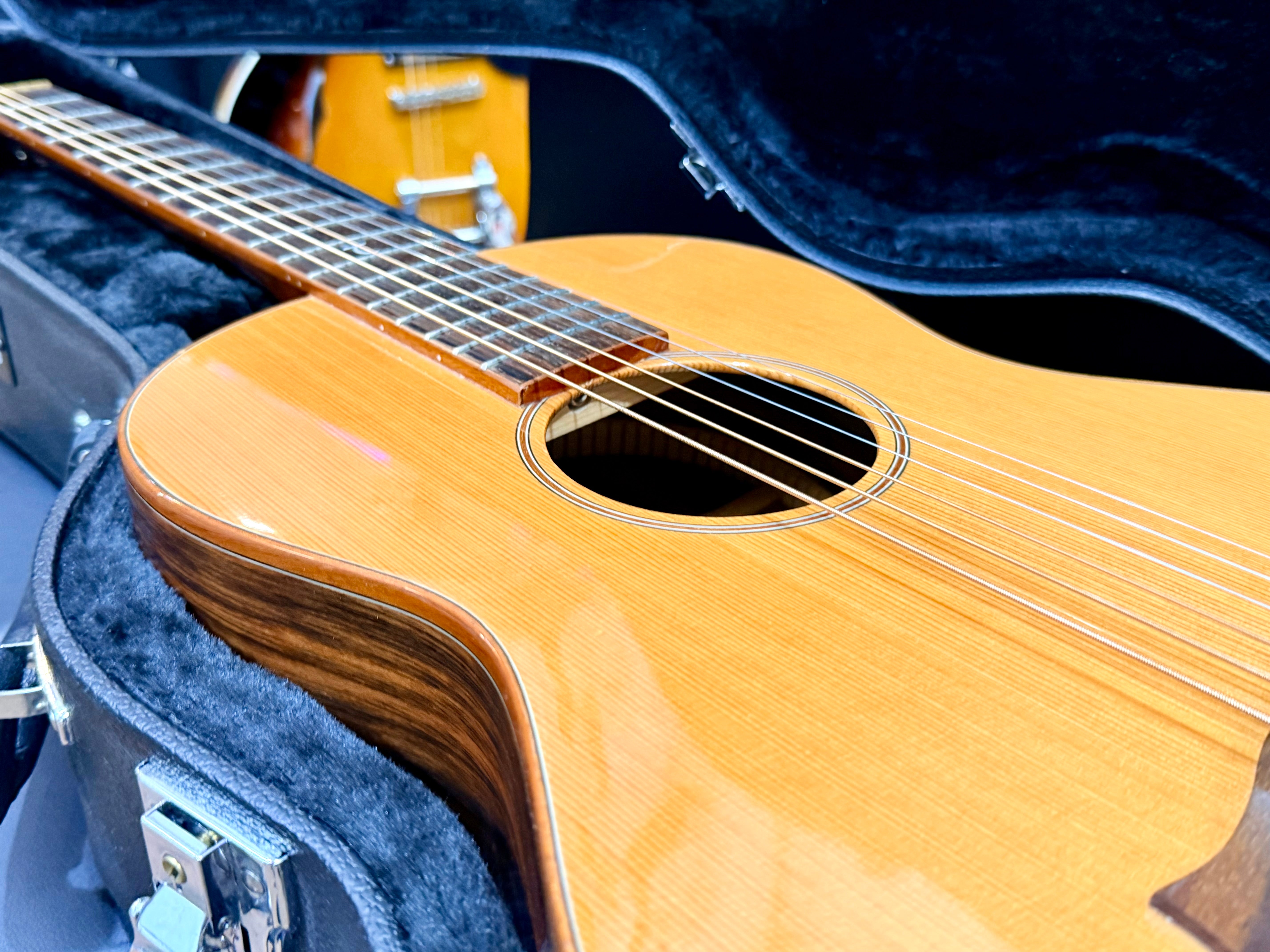 π Tanglewood Exotic Java TWJPE Parlour Electro Acoustic + Hard Case~Stunning π