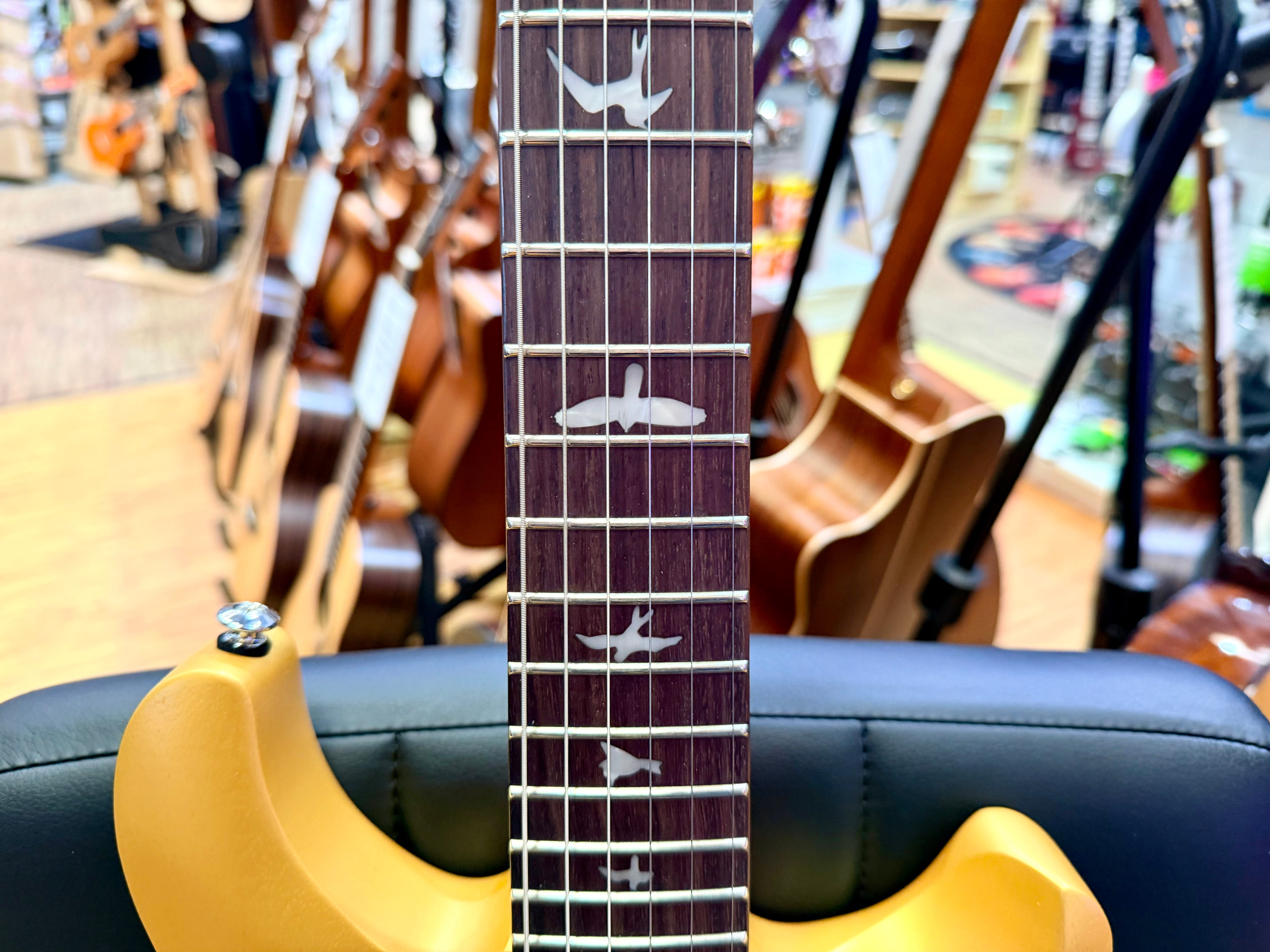 ⚡️ NEW 2026 ⚡️ PRS SE CE24 Standard Stoptail~ Metallic Gold Satin CE 24~ Gig Bag