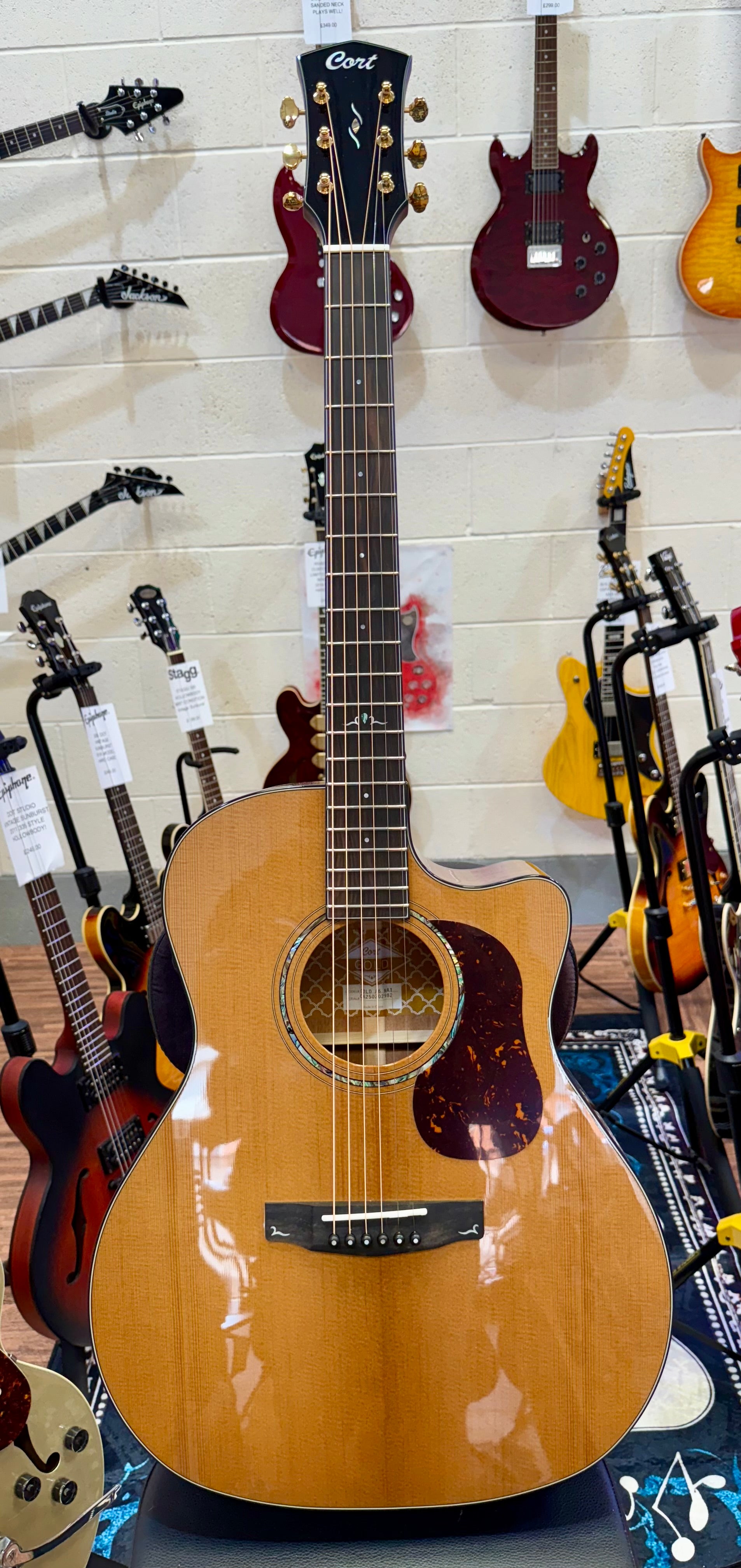 🌟NEW 2025 🌟 Cort Gold A6 Nat Electro Acoustic~ Natural~ Ebony Board~ Gig Bag!
