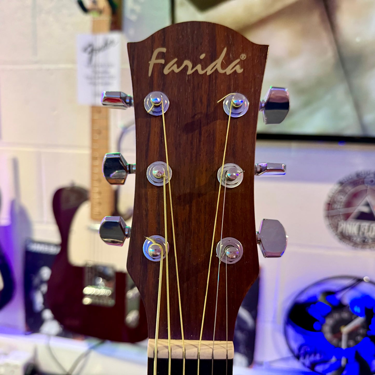 🌟MINT🌟 Farida D-8X0P Dreadnought Acoustic Guitar~ Natural Satin~ 2014 Model!