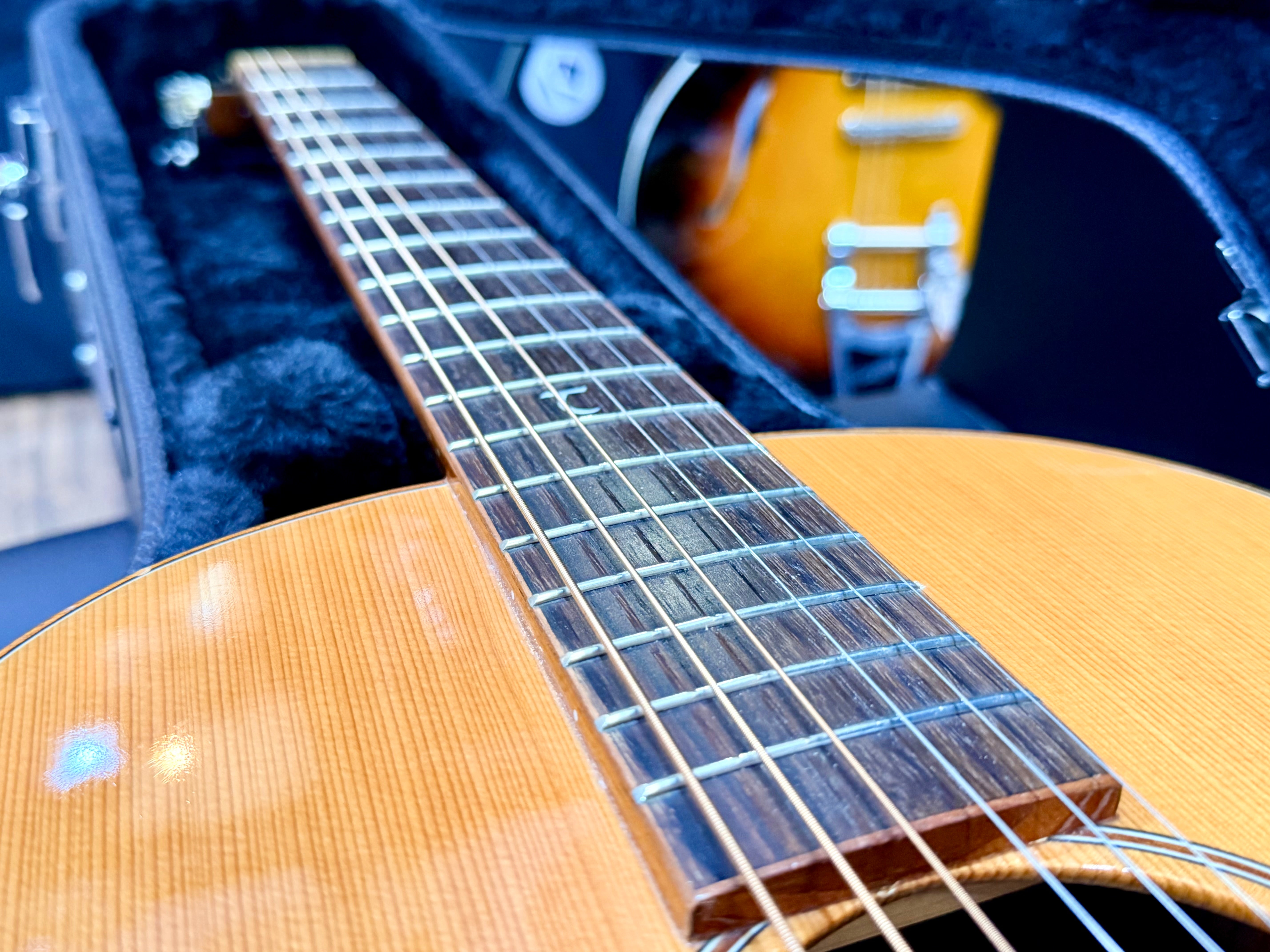 π Tanglewood Exotic Java TWJPE Parlour Electro Acoustic + Hard Case~Stunning π