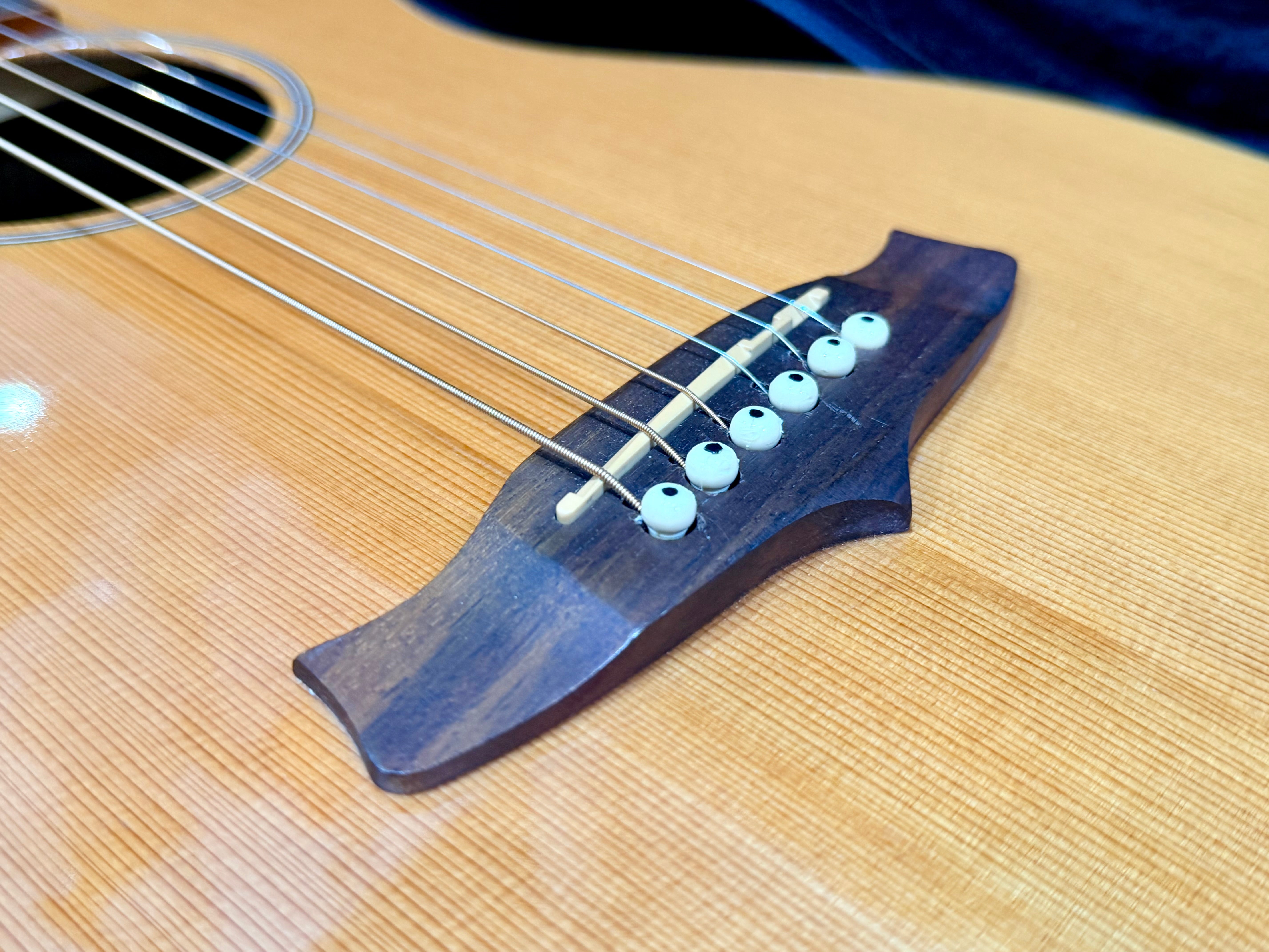 π Tanglewood Exotic Java TWJPE Parlour Electro Acoustic + Hard Case~Stunning π