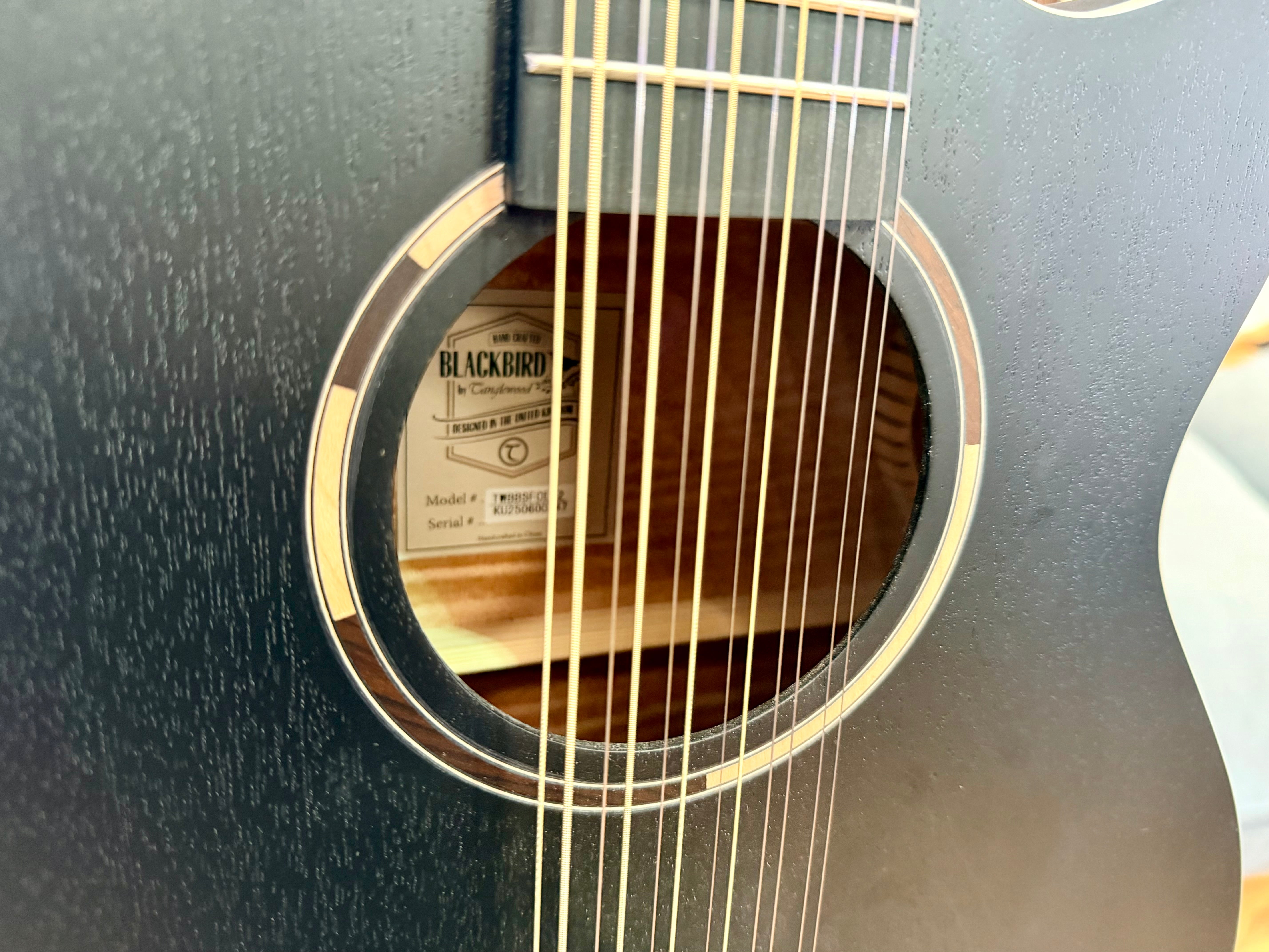 🌟MINT🌟 2025 Tanglewood TB412CE 12 Blackbird 12 String Electro Acoustic Guitar!