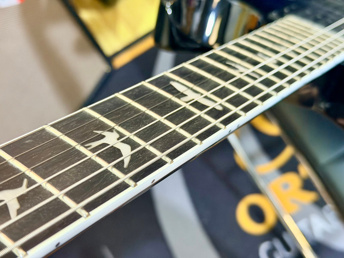 🔥SIGNED🔥 PRS SE Mark Holcomb Signature Model Artist Signed Holcomb Blueburst!