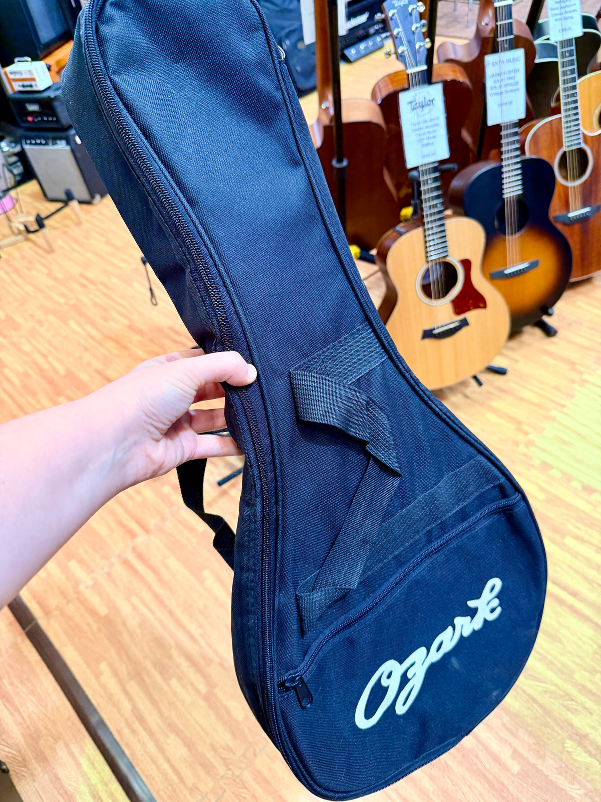 ✨MINT✨ Ozark 2255E F-Style Electro Acoustic Mandolin~ Sunburst + Gig Bag!