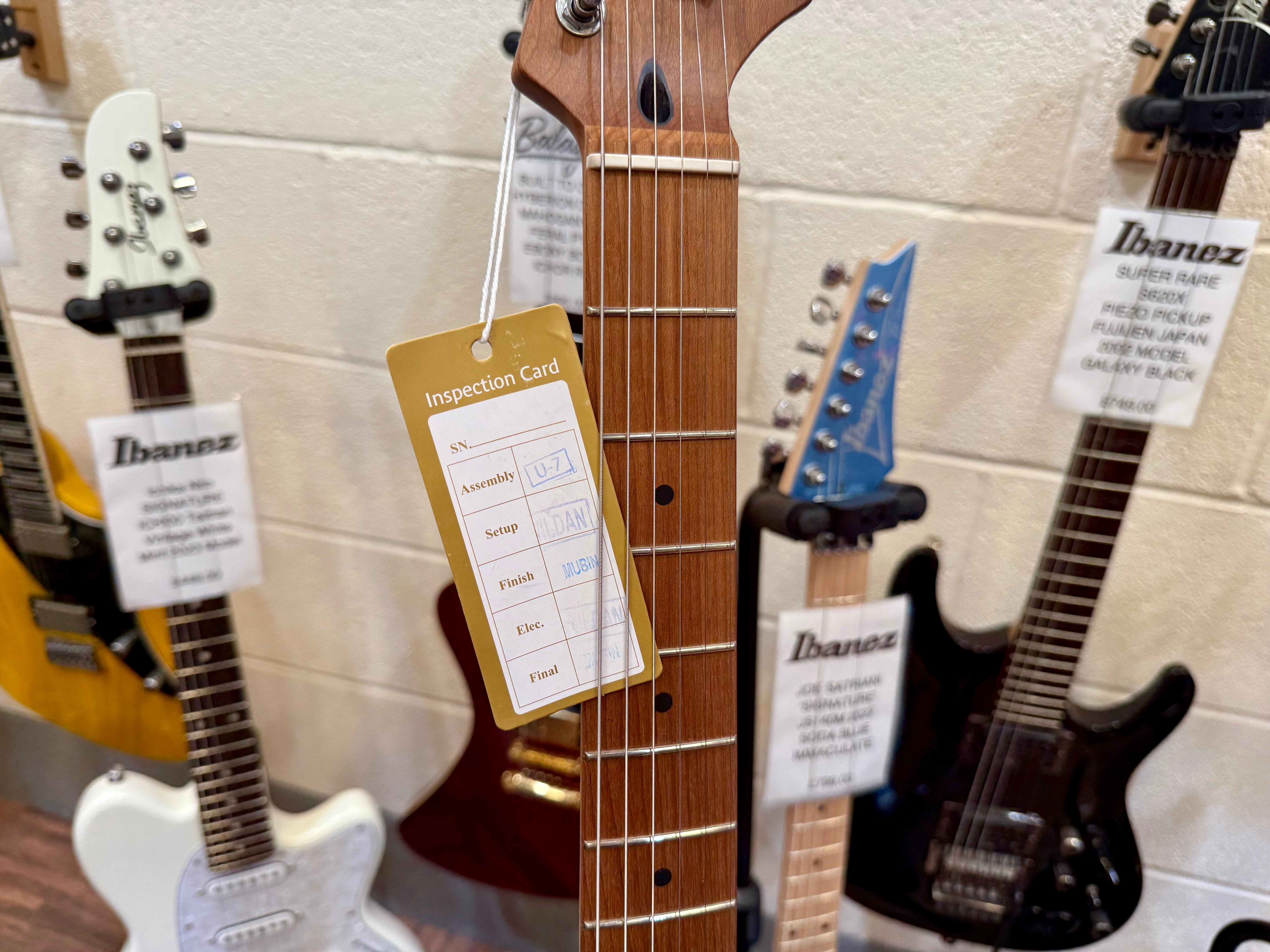 🌟BRAND NEW🌟 Cort G200SE Limited Edition~ Seafoam Green~ Roasted Maple~ Latest Model!