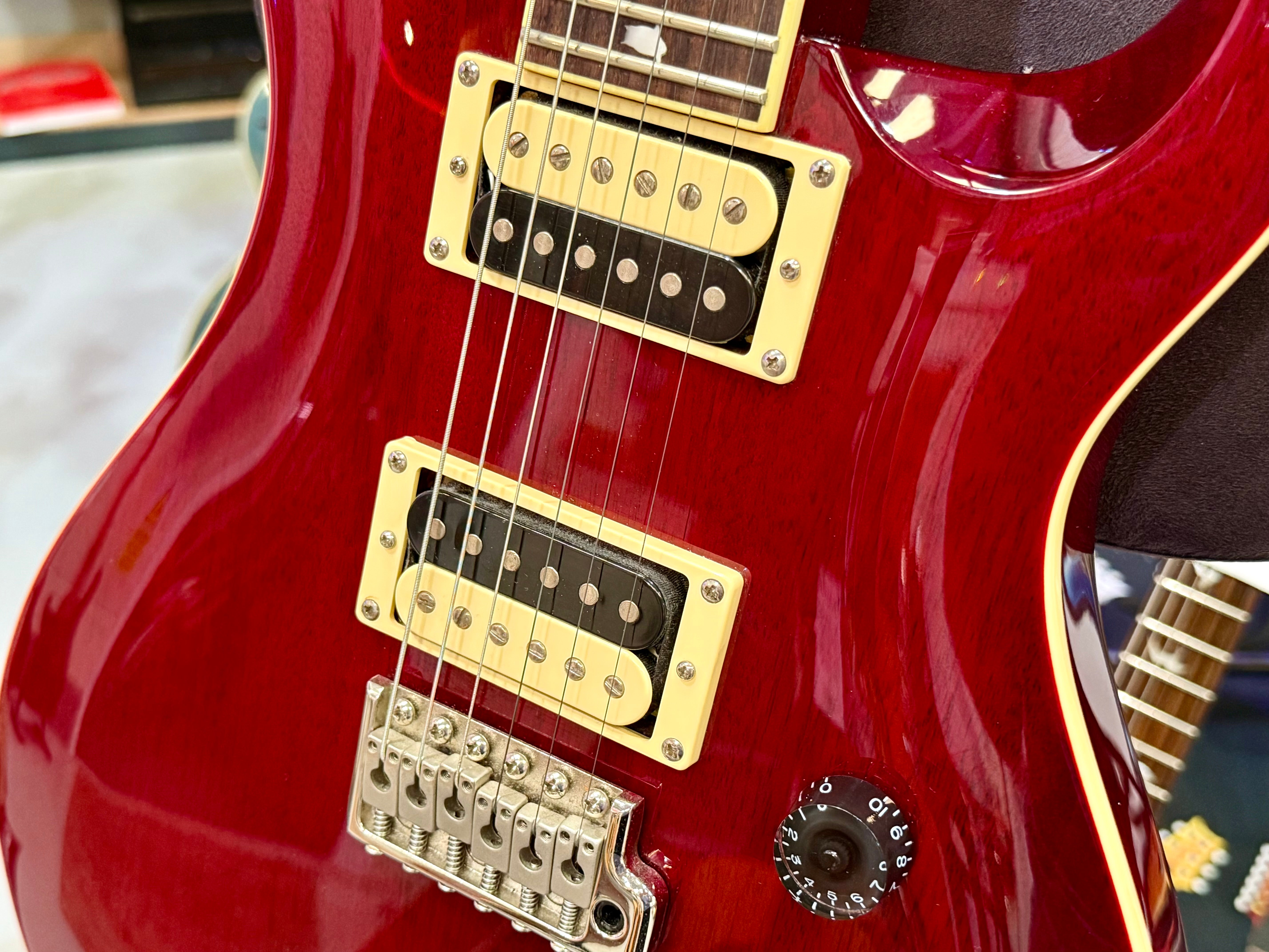 🔥2021🔥 PRS SE Standard 24~ Vintage Cherry Gloss ~ Coil Tap ~ Bird Inlays!