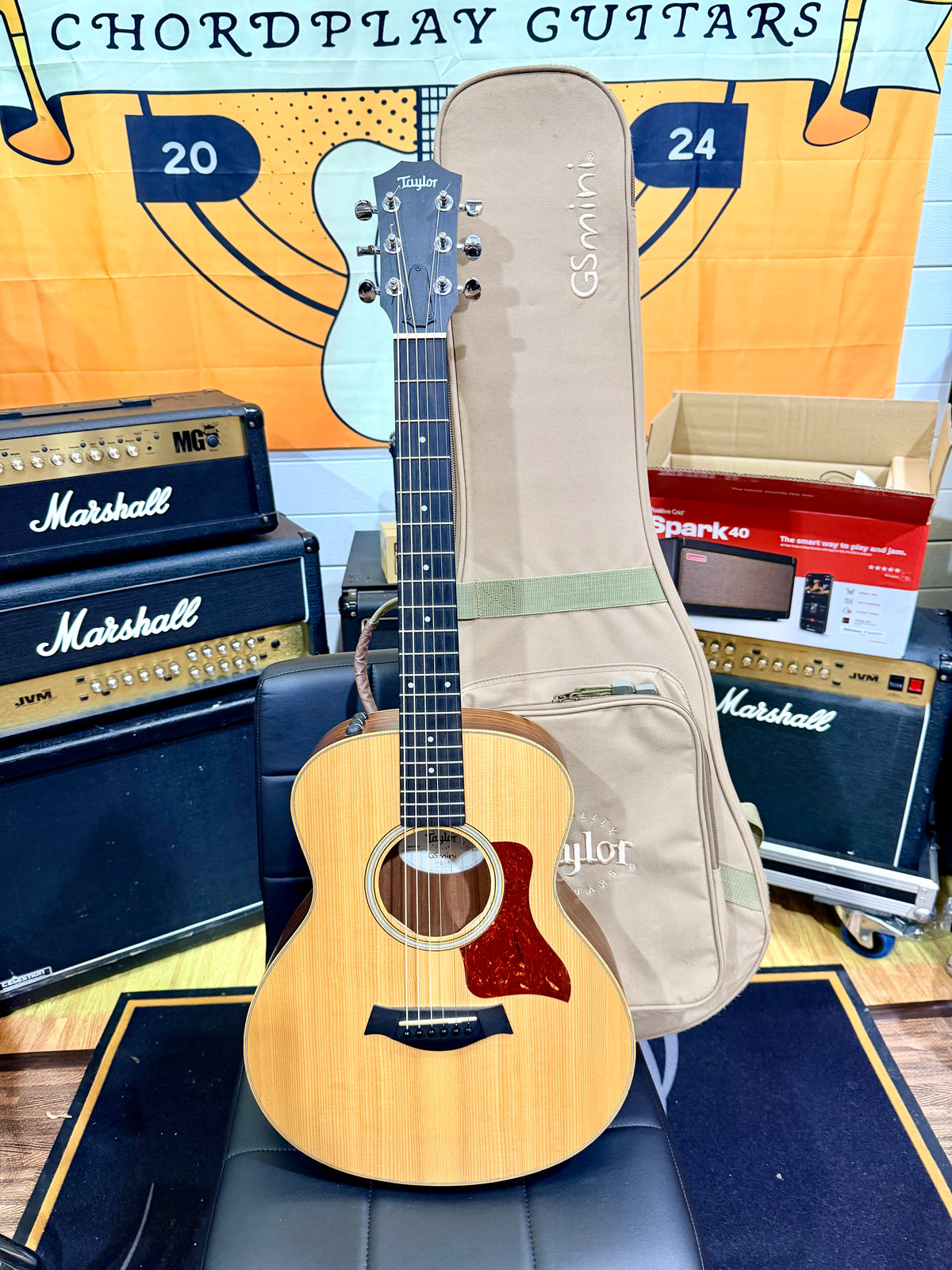✨2021✨ Taylor GS Mini-E Rosewood Electro Acoustic Travel Guitar with Gig Bag!
