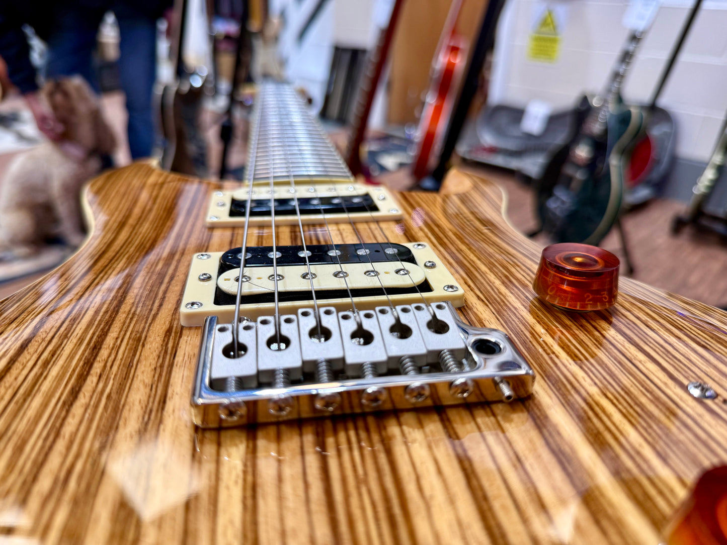 🦓 ZEBRAWOOD LTD EDITION 🦓 PRS SE Custom 24 Exotic~ 2017 Rare Finish~ Coil Tap!
