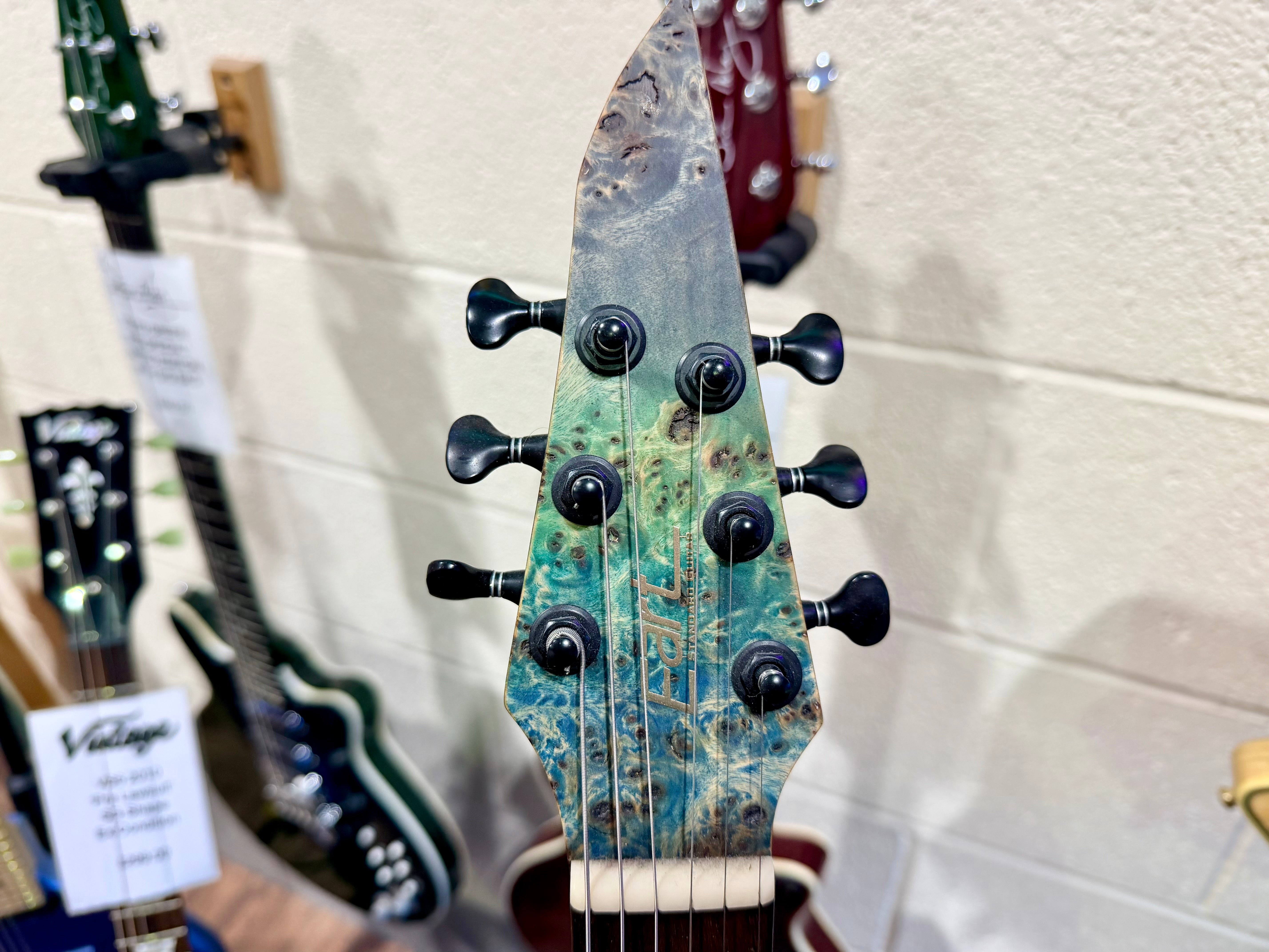 š„MULTICOLOUR SATINš„ Eart Explorer 1 Electric Guitar~ PRS Pickups~ 2023 Model!