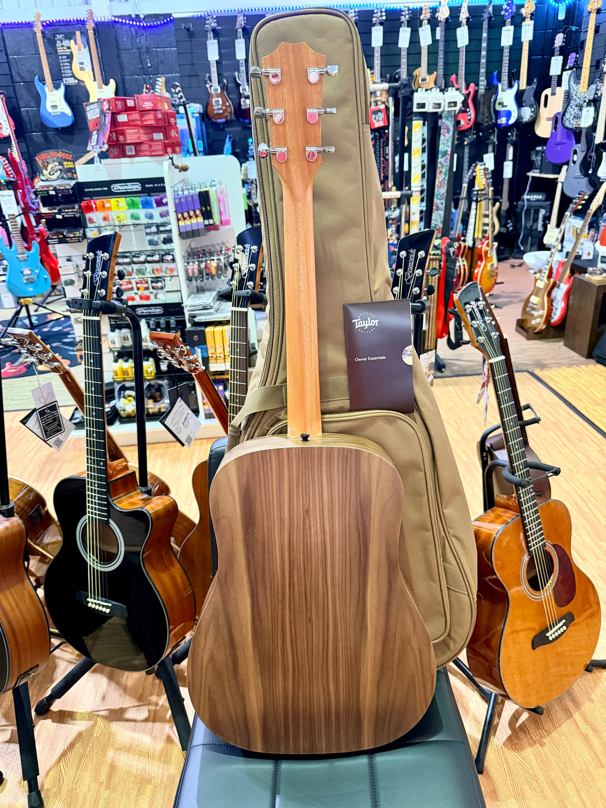 2026 Taylor Big Baby BBT Acoustic Guitar~ Natural~ Ex-Demo Mint + GigBag