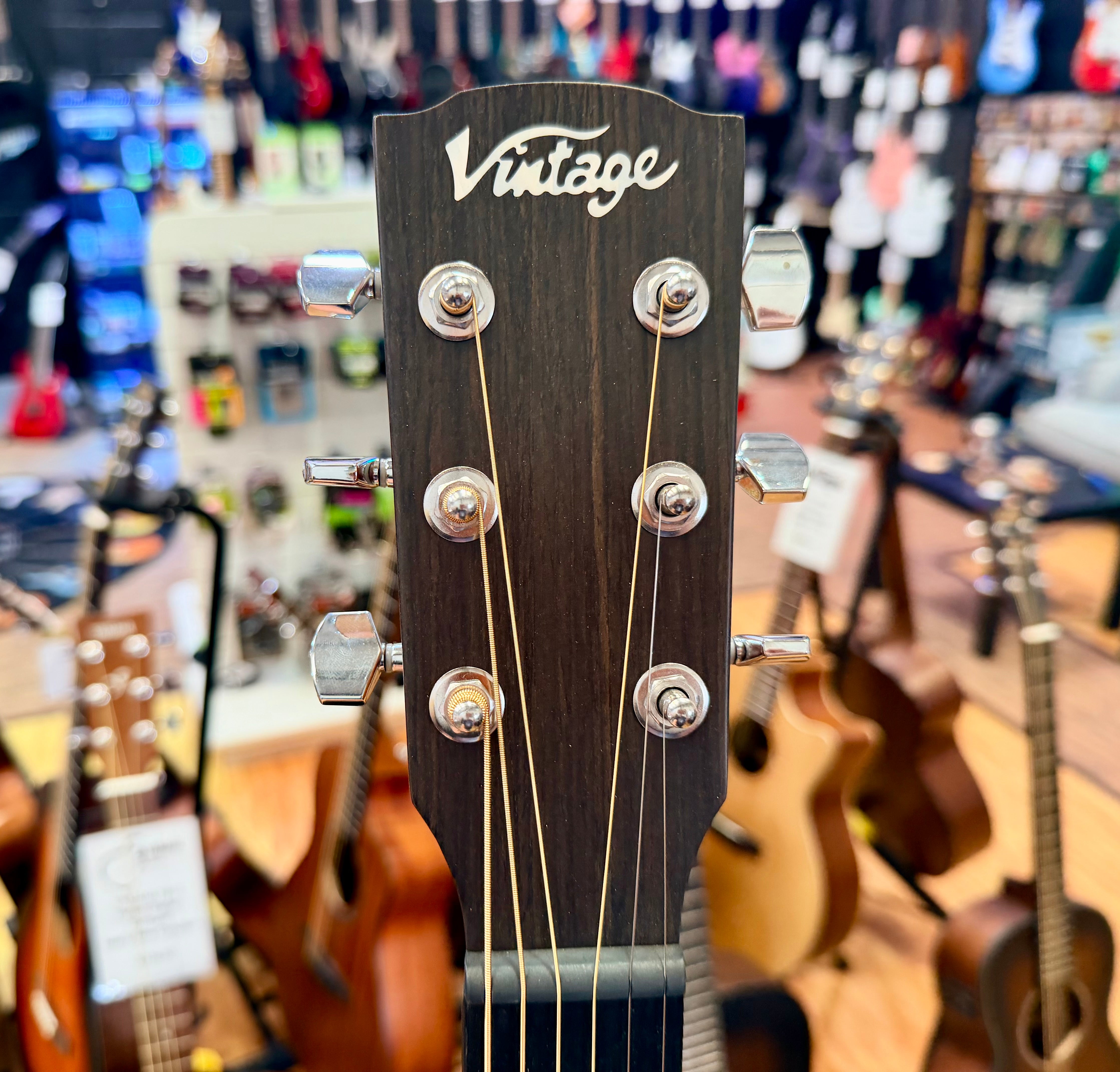 🪵NEW🪵 Vintage Statesboro VE440MM Mahogany Cutaway Electro-Acoustic Guitar!