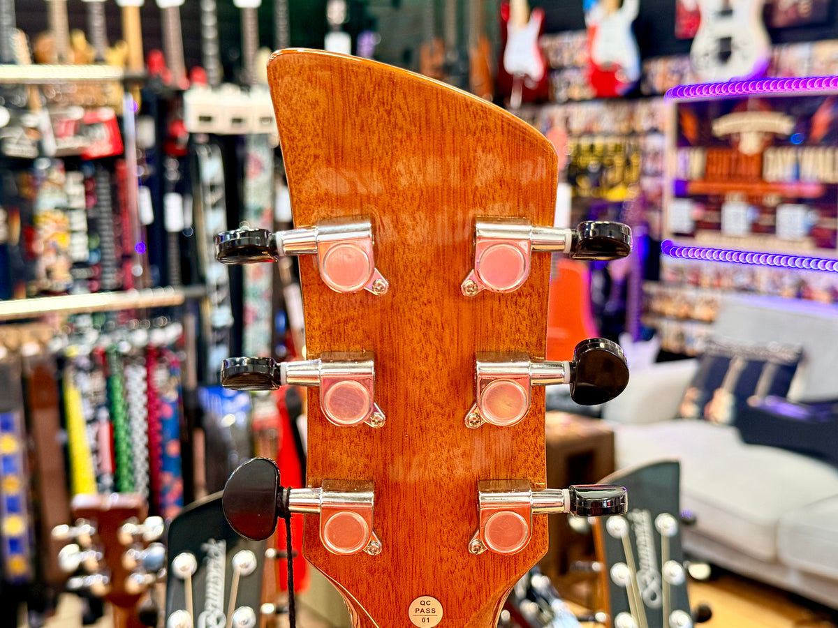 ✨NEW✨ Brunswick BF200M Mahogany Folk Acoustic Guitar~ Natural Gloss!