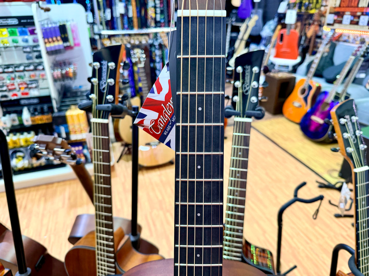 Tanglewood TE8EBL Elemental Parlour Electro Acoustic~ Natural Satin~ Solid Top