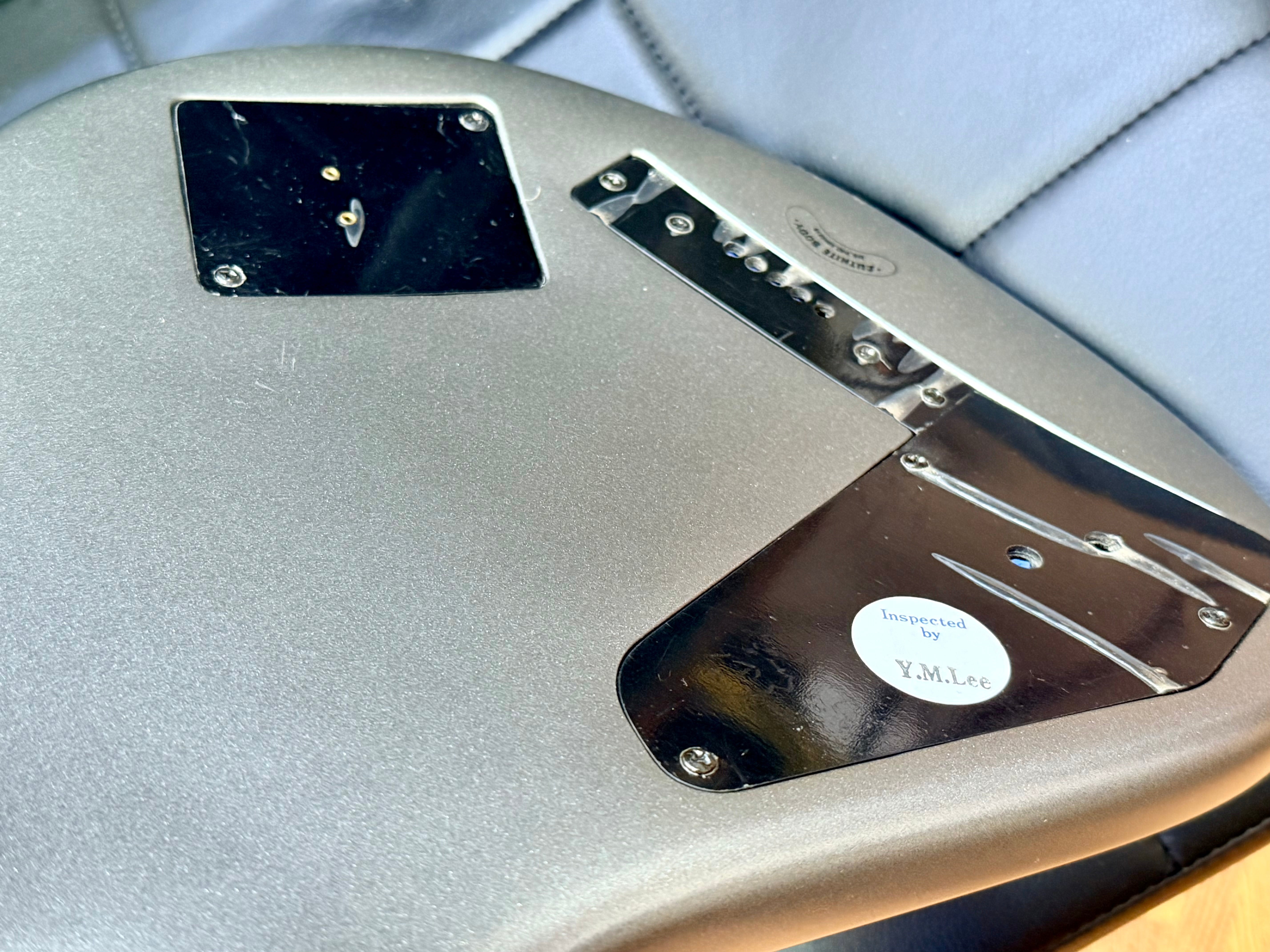 🔥RARE🔥 2001 Ibanez Ergodyne EDA900 Bass~ Korea~ Silver Flat Luthite~ Piezo!