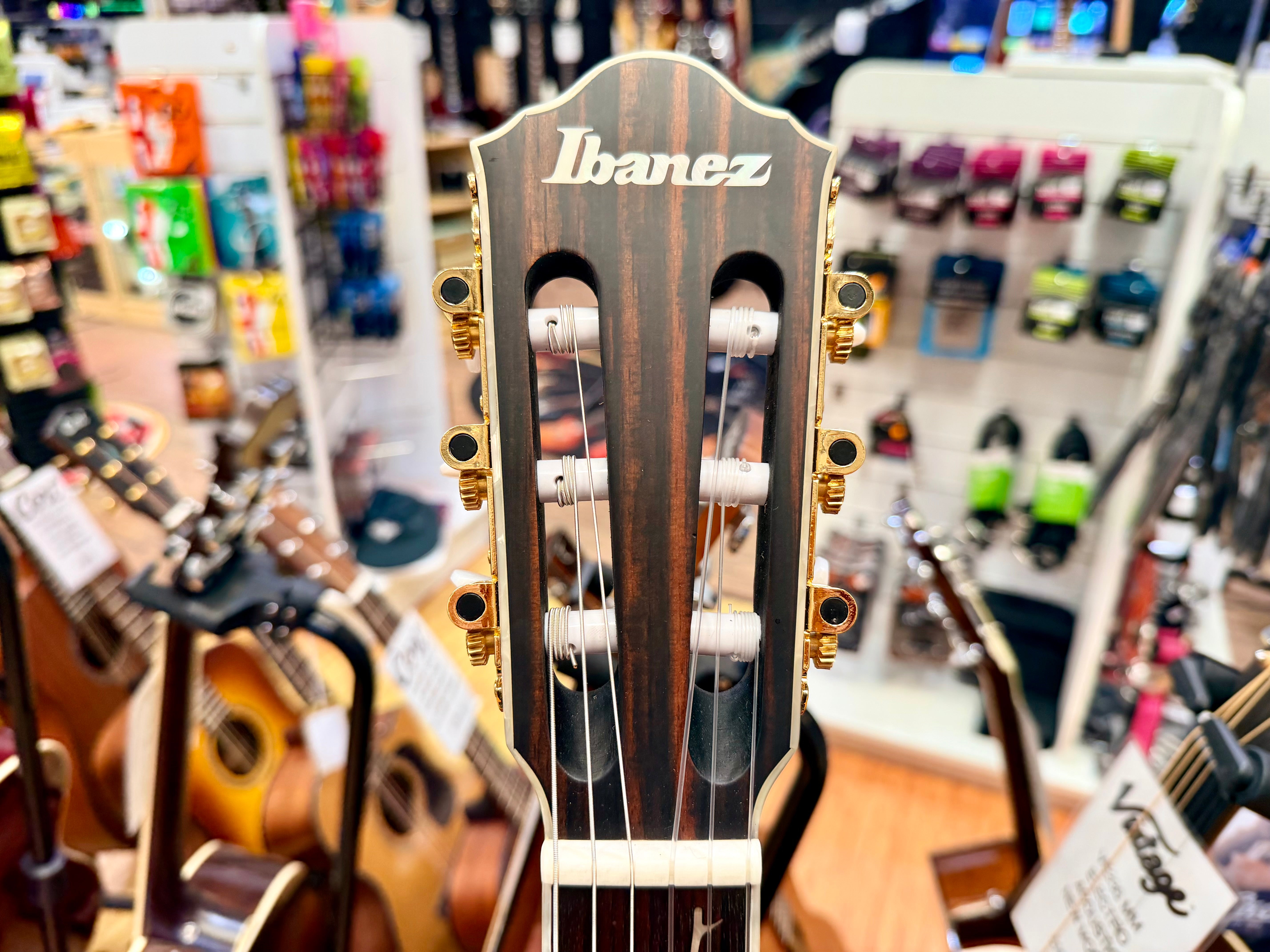 🔥MINT🔥 Ibanez TOD10N Tim Henson Signature Electro Acoustic Nylon~ Black!