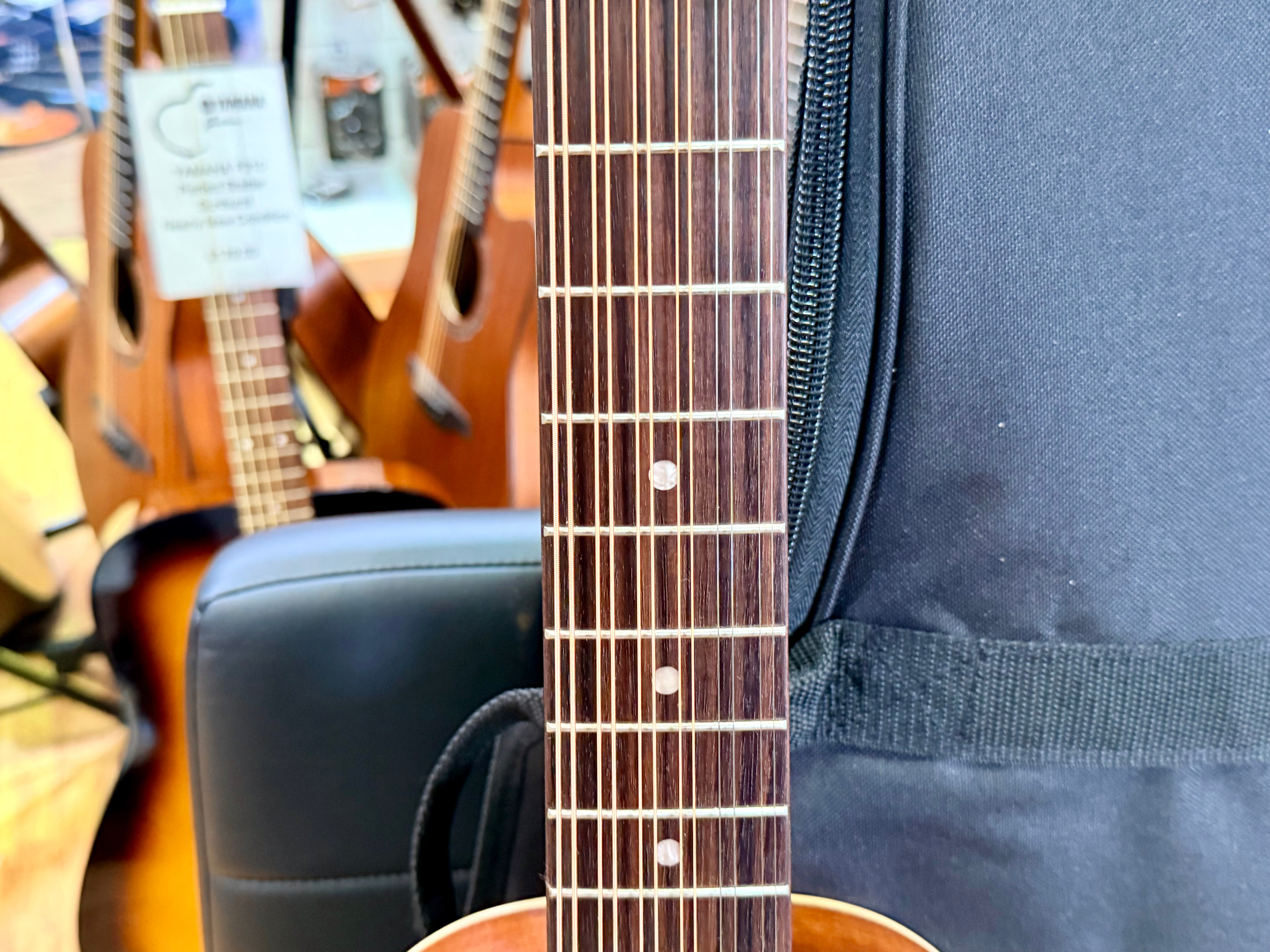 ✨NEW✨ Vintage Paul Brett Viator Electro Acoustic 12 String Travel Guitar + Bag