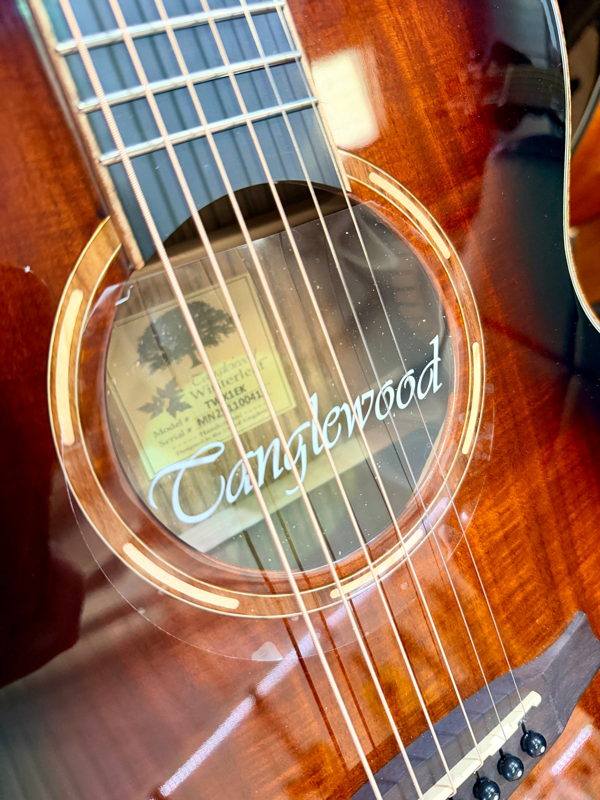 Tanglewood Winterleaf Exotic TWX1EK Electro Acoustic~ Koa~ Autumn Burst Gloss