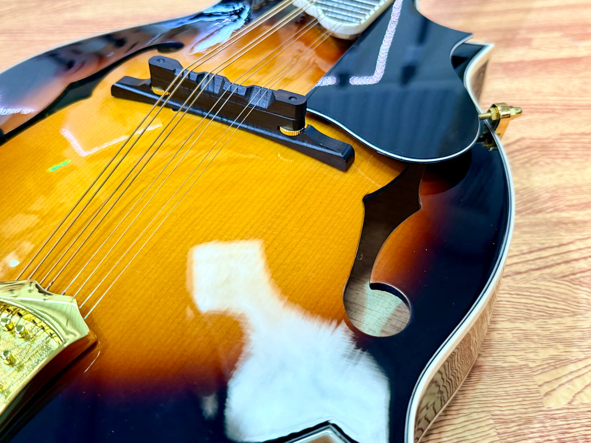 ✨MINT✨ Ozark 2255E F-Style Electro Acoustic Mandolin~ Sunburst + Gig Bag!