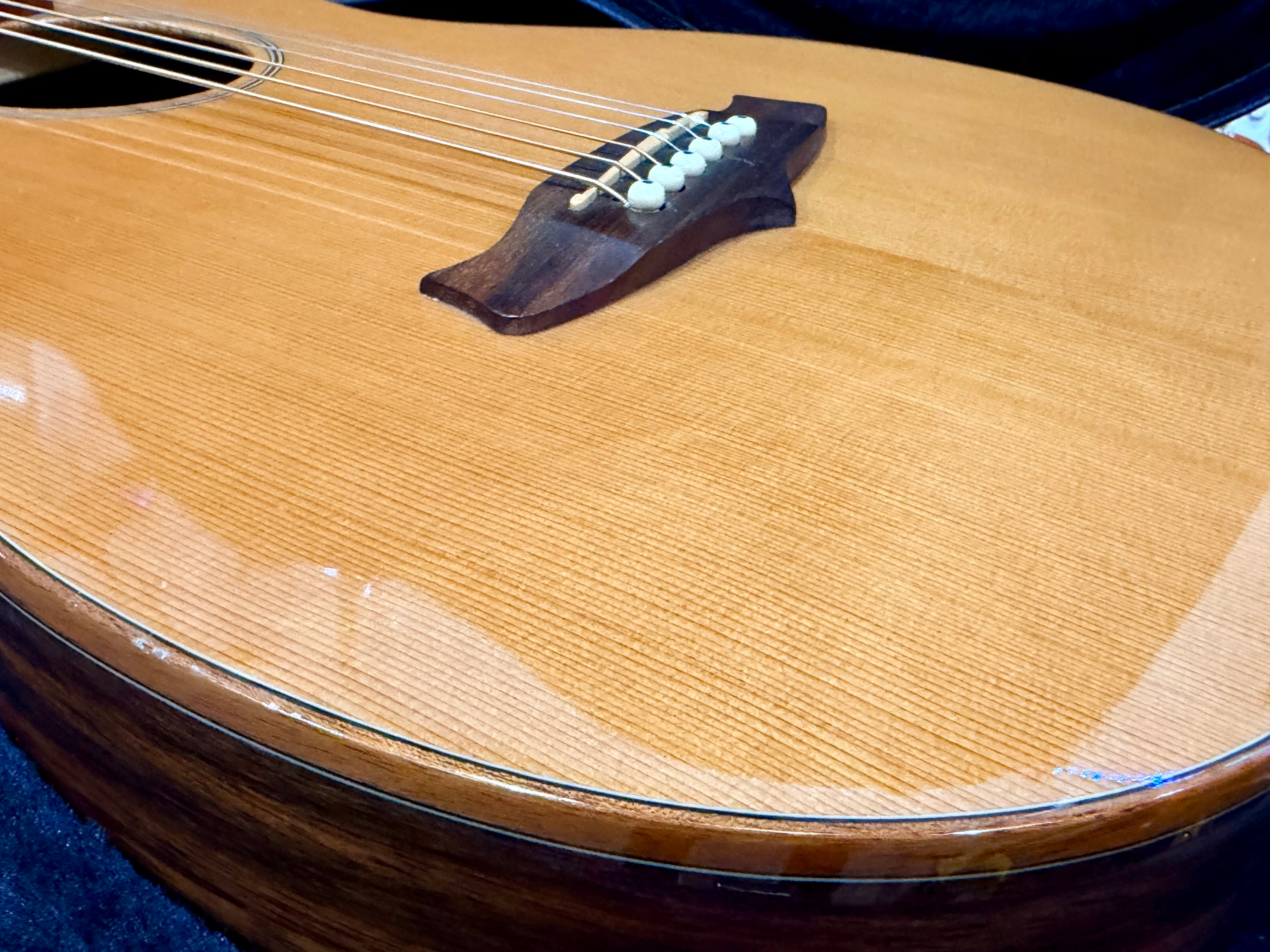 π Tanglewood Exotic Java TWJPE Parlour Electro Acoustic + Hard Case~Stunning π