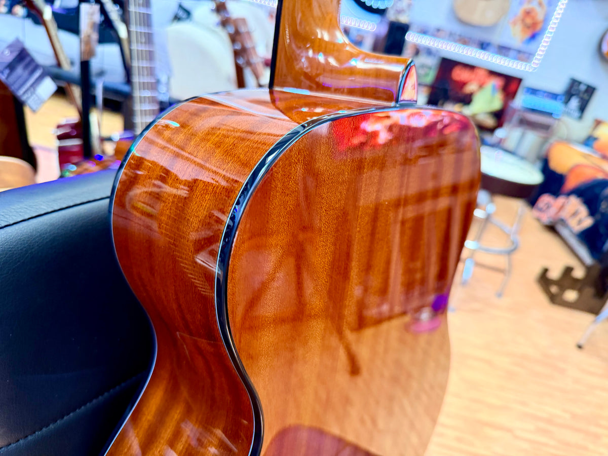 ✨NEW✨ Brunswick BF200M Mahogany Folk Acoustic Guitar~ Natural Gloss!
