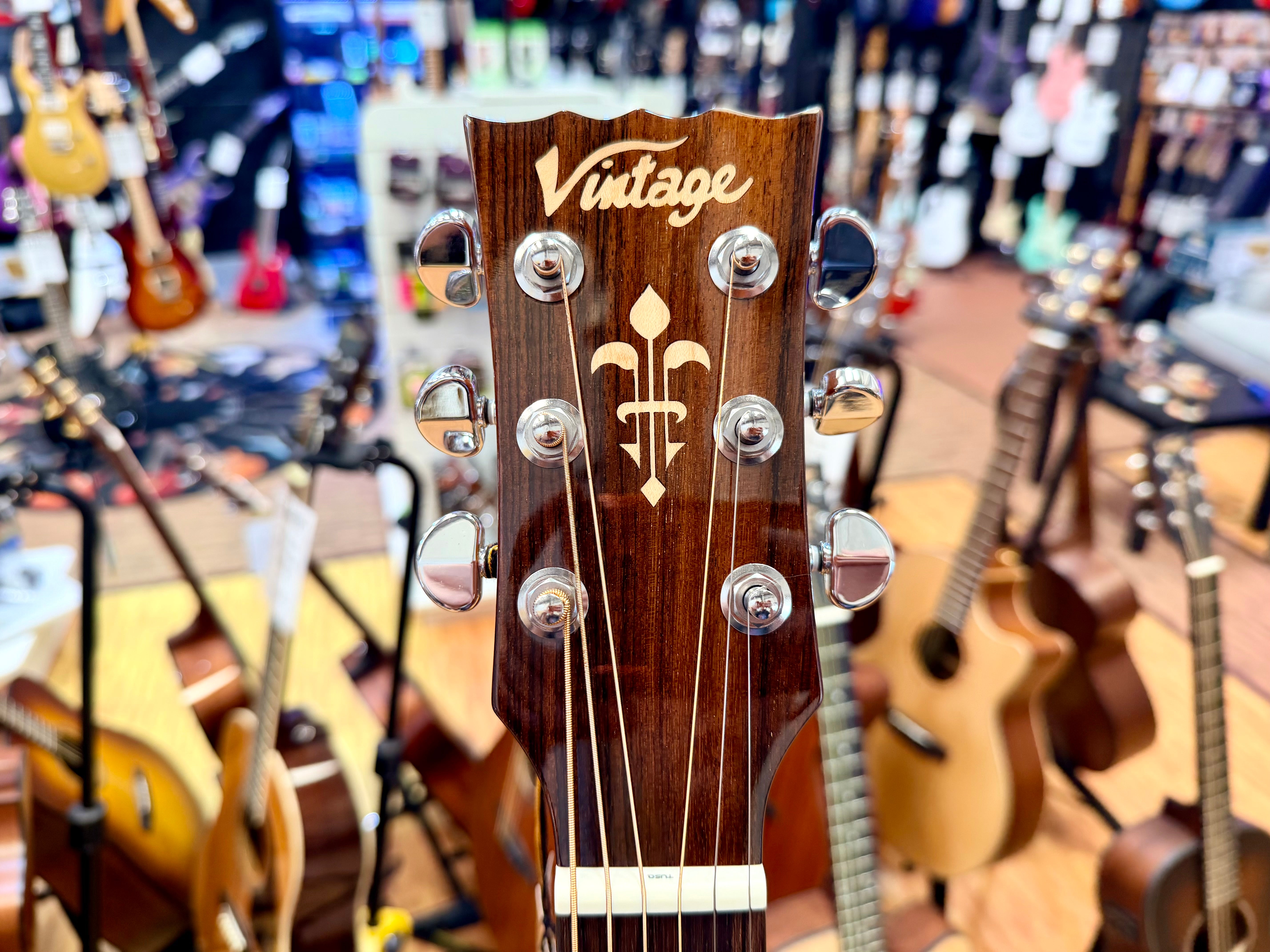 ✨ Vintage V1650N Performer Series Acoustic Orchestra OM Guitar~ Natural Gloss ✨