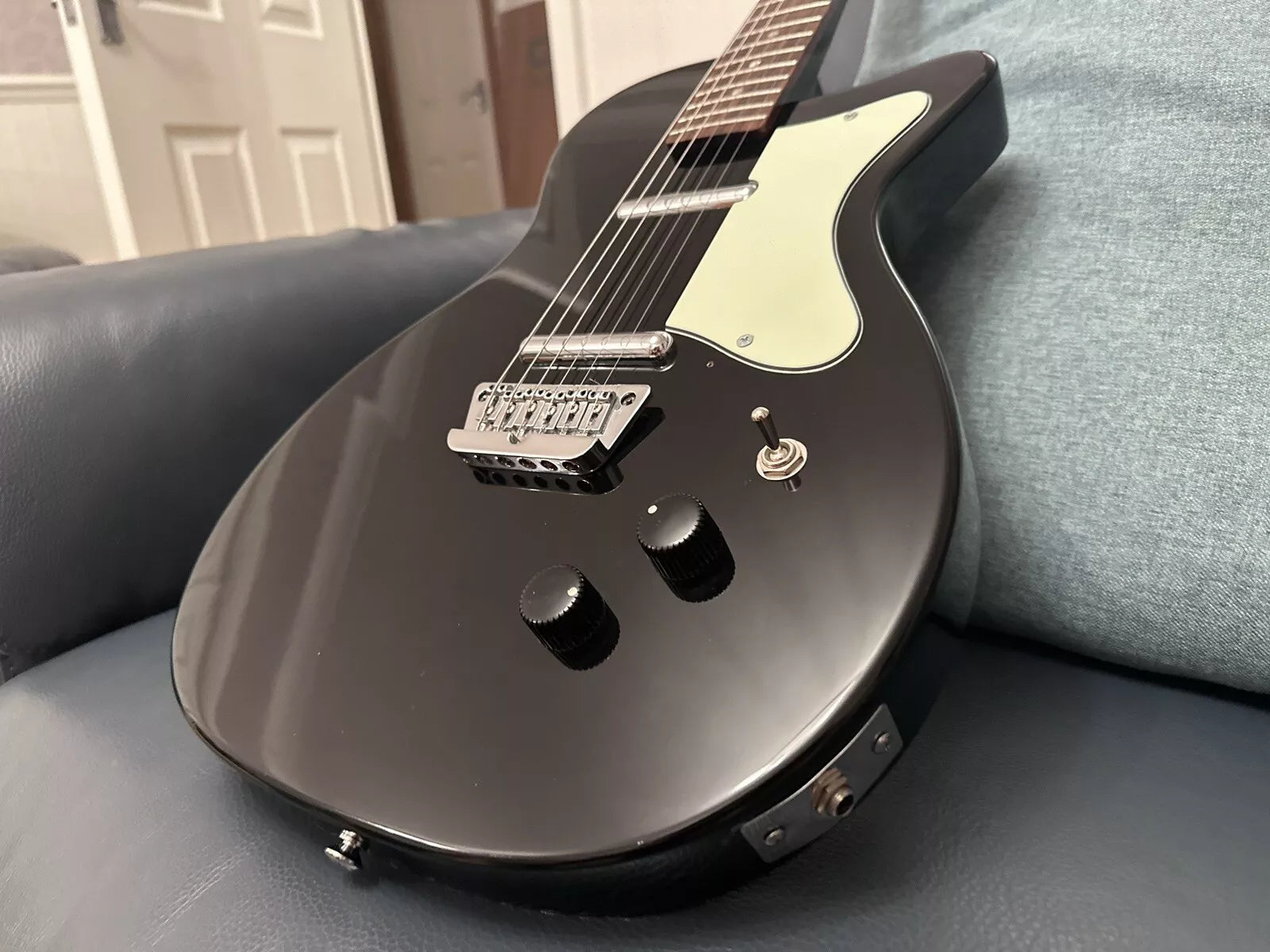 Danelectro