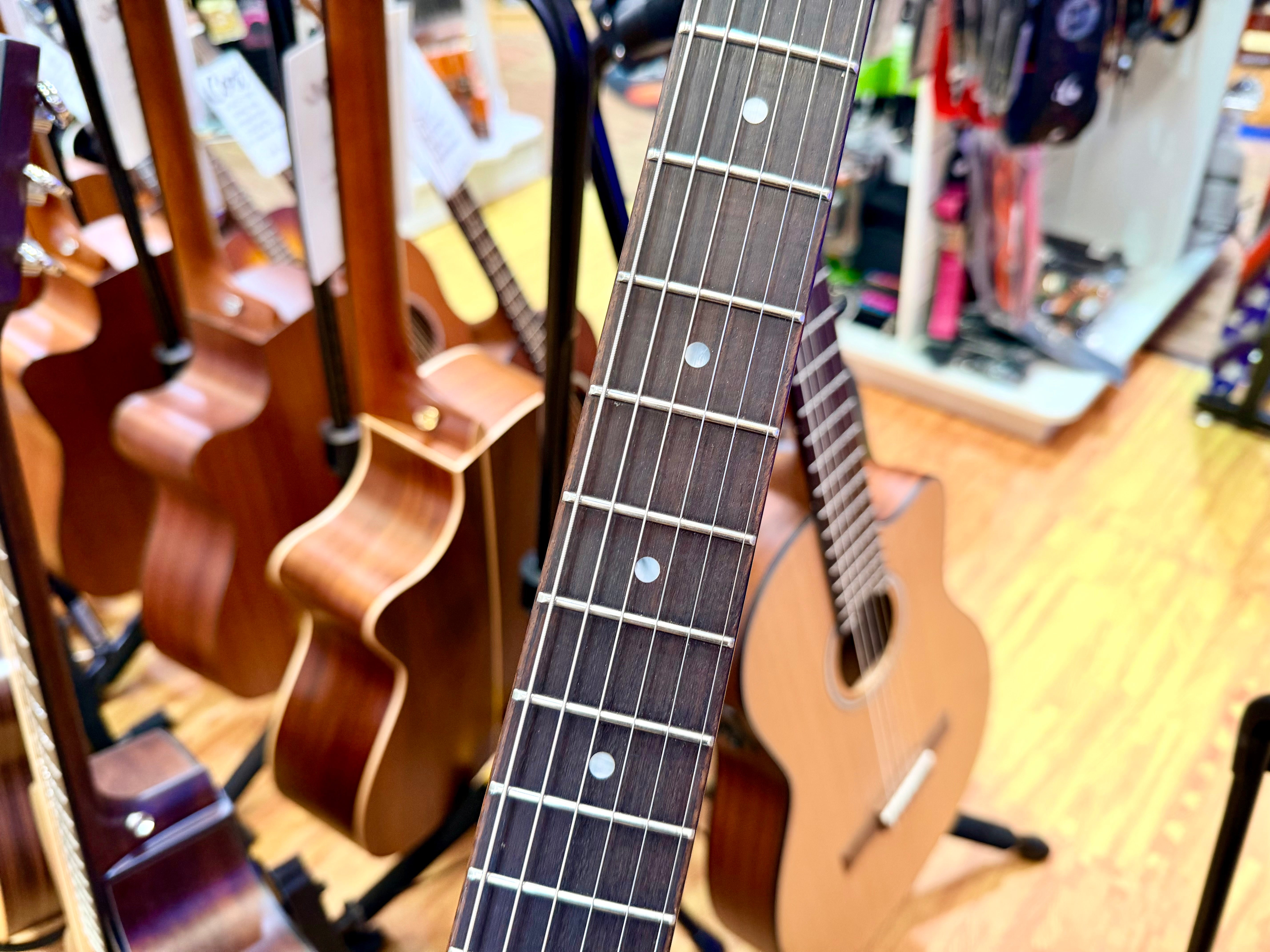 ✨2024✨ Epiphone Inspired By Gibson Custom 1963 Firebird I Silver Mist~ Maestro