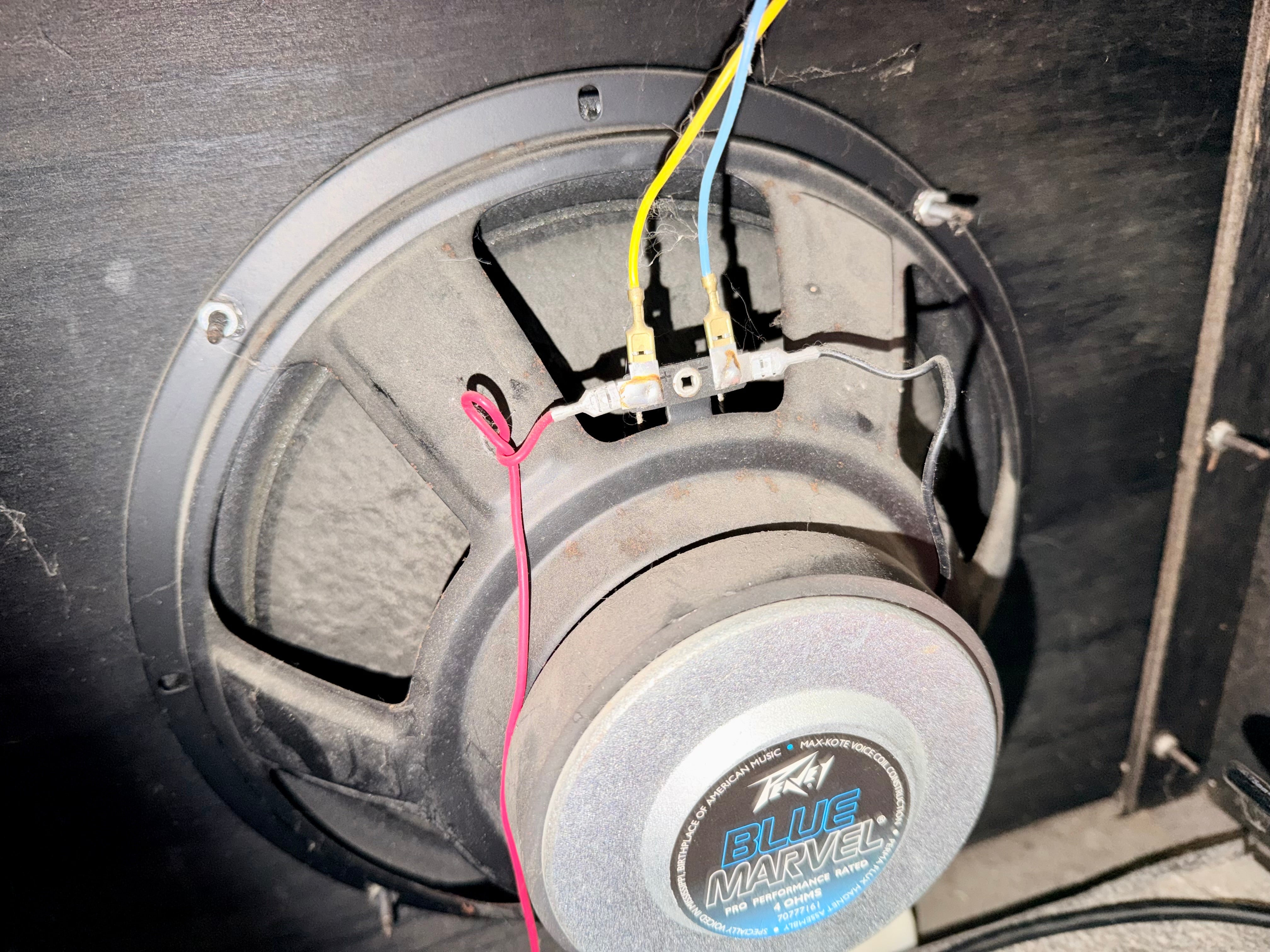 🎸 Peavey Ecoustic 112 Acoustic Guitar Amplifier~ 100w Combo Amp 🎸