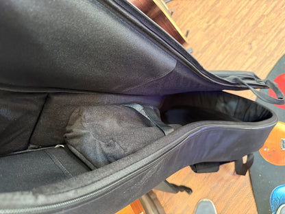 🌟NEW 2025 🌟 Cort Gold A6 Nat Electro Acoustic~ Natural~ Ebony Board~ Gig Bag!