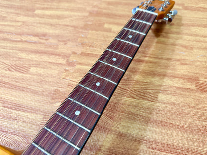 🌟MINT 🌟 2024 Epiphone Dobro Hound Dog Round Neck Resonator Acoustic Guitar!