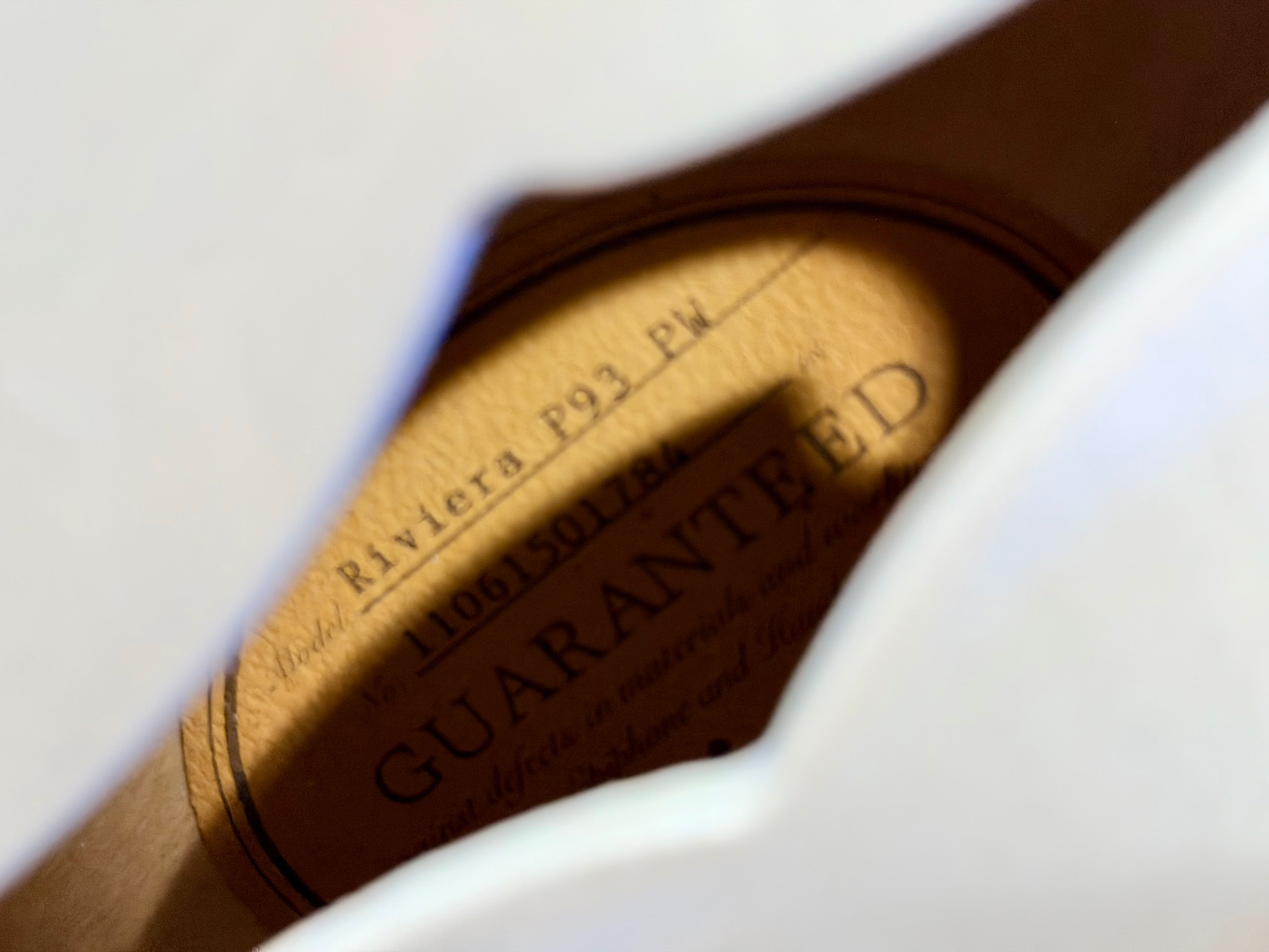 ✨LIMITED EDITION✨ Epiphone Riviera Royale Custom P93~ Pearl White + Hard Case!