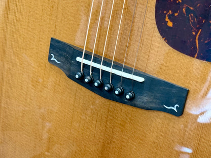 🌟NEW 2025 🌟 Cort Gold A6 Nat Electro Acoustic~ Natural~ Ebony Board~ Gig Bag!