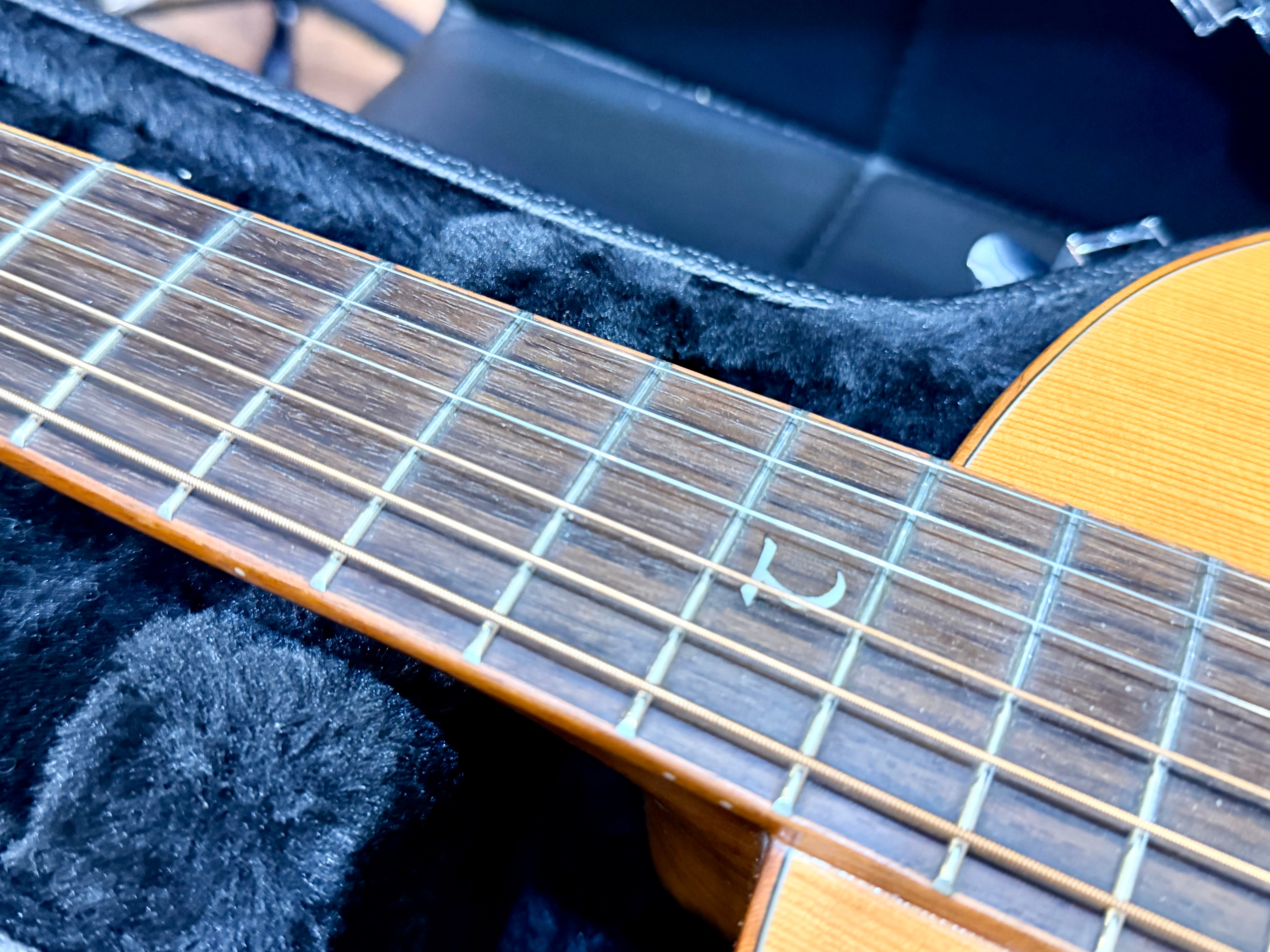 🌟 Tanglewood Exotic Java TWJPE Parlour Electro Acoustic + Hard Case~Stunning 🌟