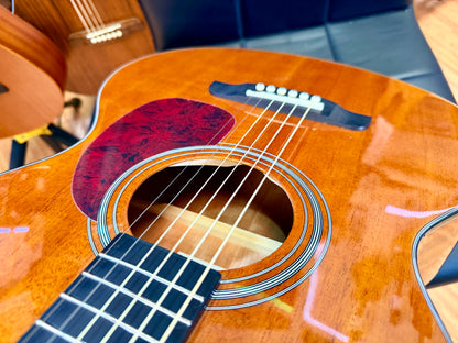✨NEW✨ Brunswick BF200M Mahogany Folk Acoustic Guitar~ Natural Gloss!