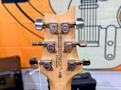 🦅2025🦅 PRS SE Swamp Ash Specialty~ Charcoal Special Electric Guitar~ Maple!