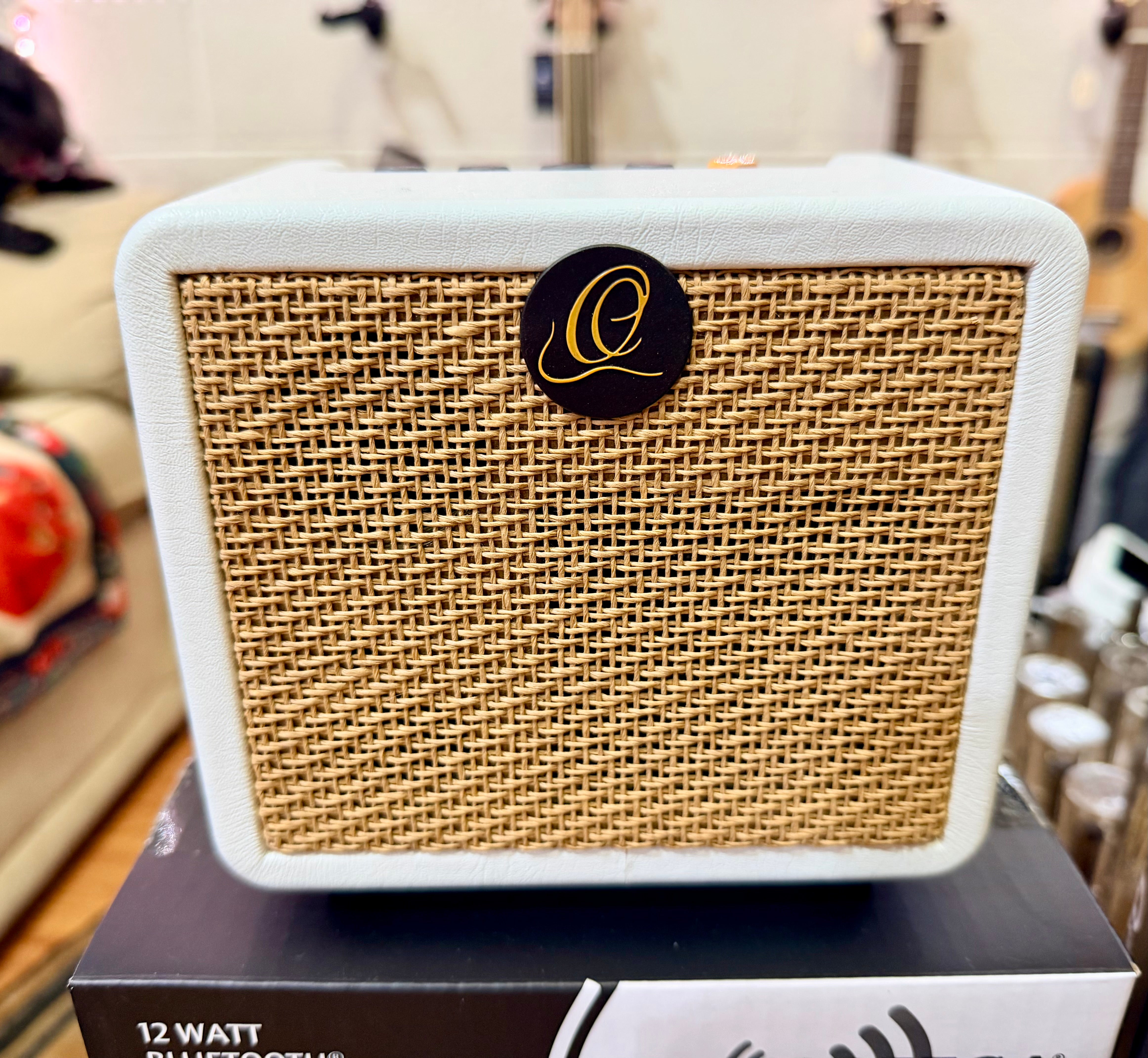 🔥NEW🔥 Ortega PTWO 12w Pocket Acoustic Guitar Amplifier~USB-C/Bluetooth/Effects