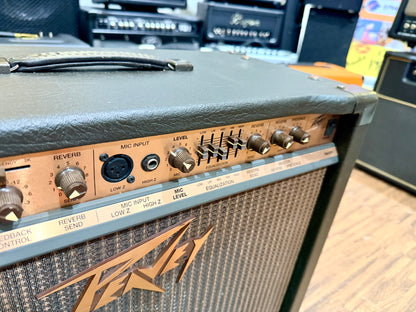 🎸 Peavey Ecoustic 112 Acoustic Guitar Amplifier~ 100w Combo Amp 🎸