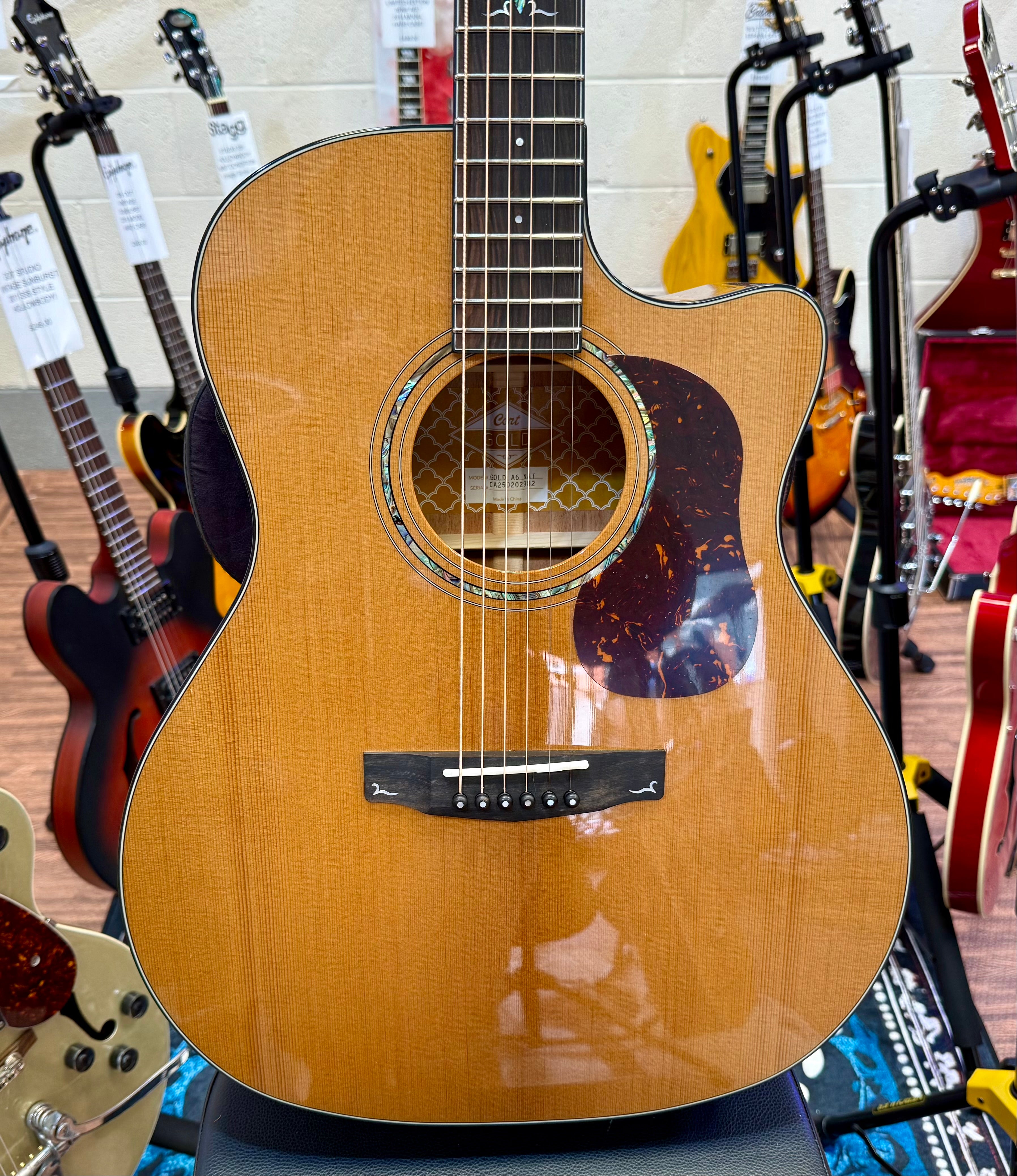 🌟NEW 2025 🌟 Cort Gold A6 Nat Electro Acoustic~ Natural~ Ebony Board~ Gig Bag!